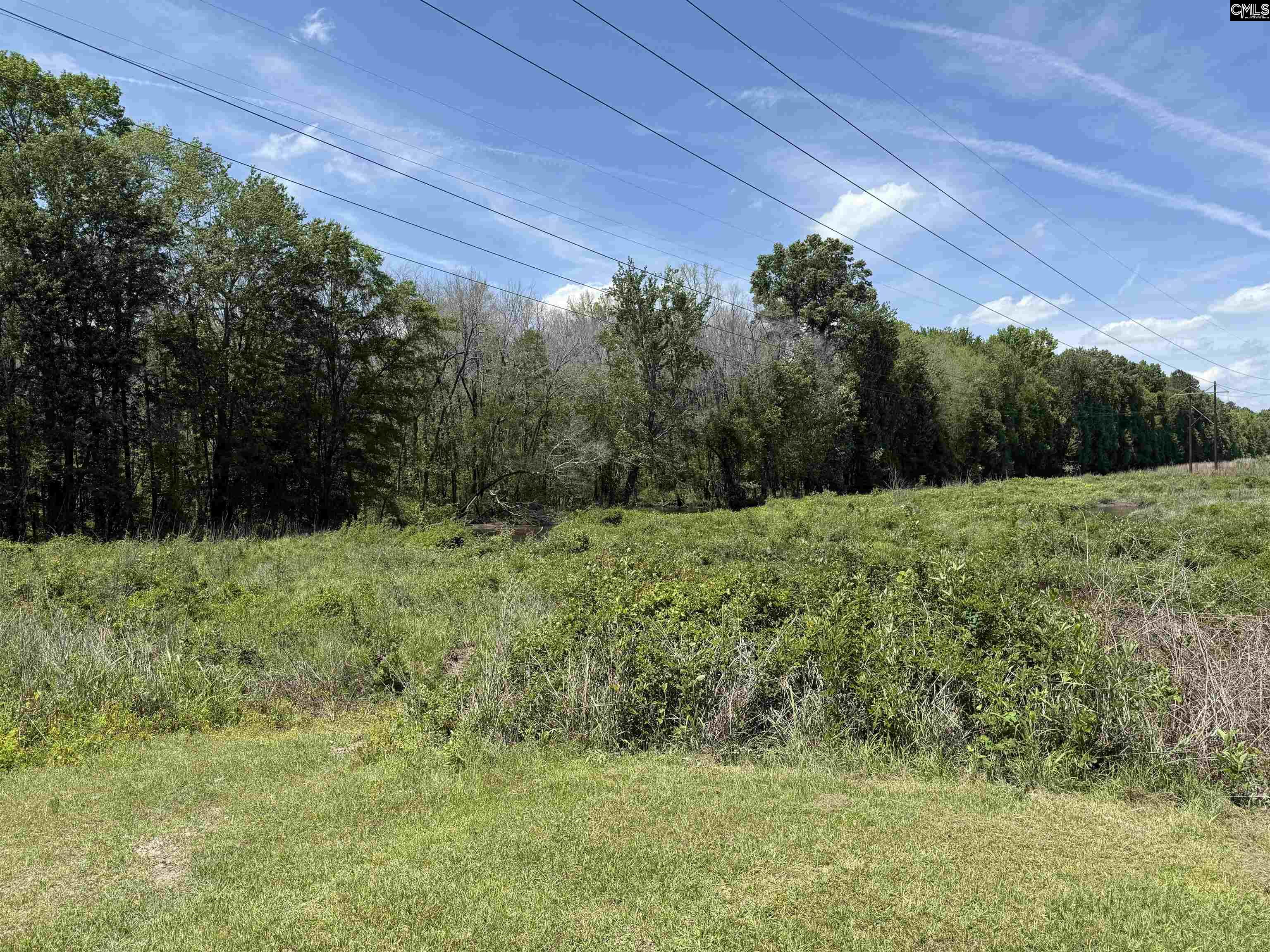 113 Odell Drive, Cayce, South Carolina image 17