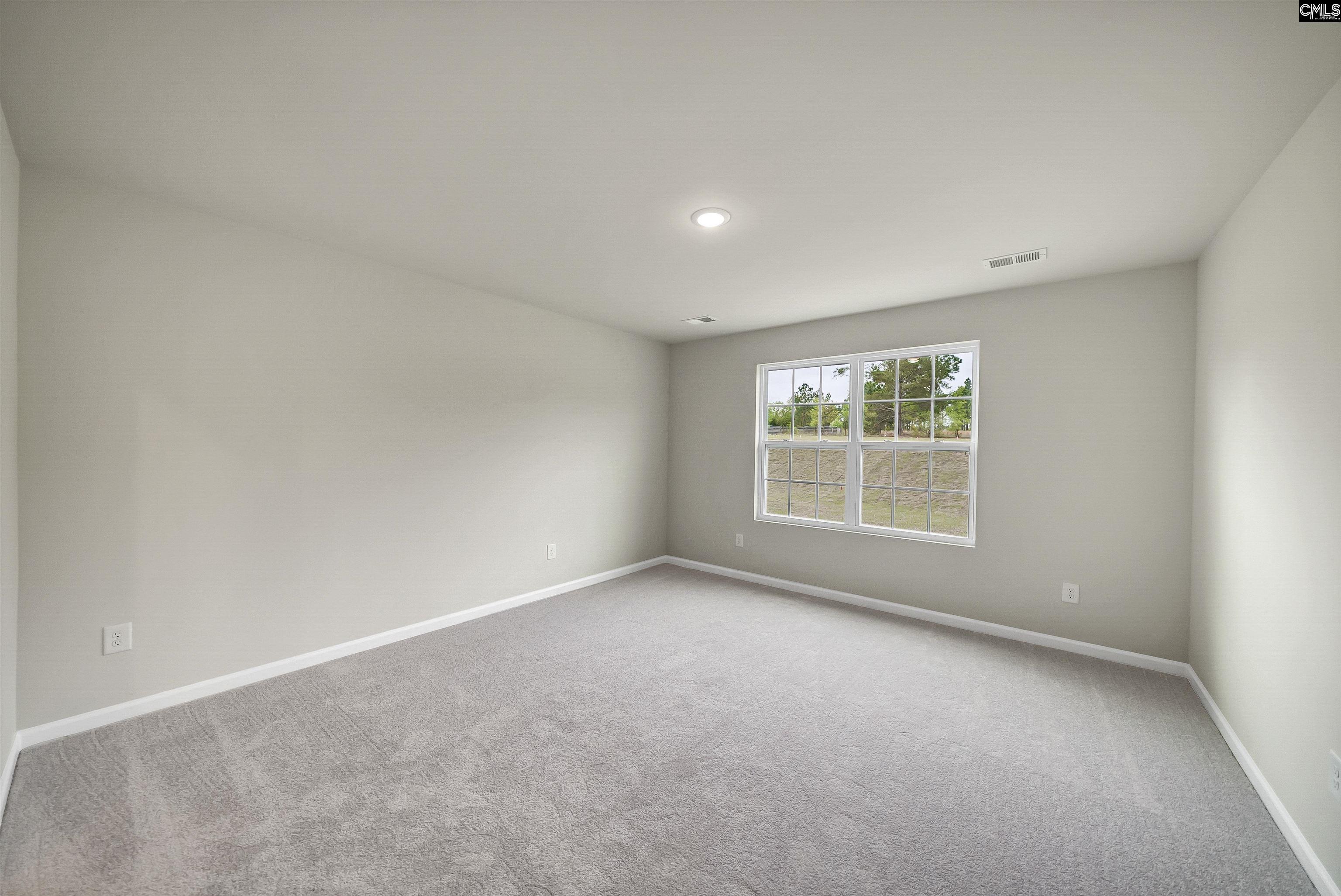 222 Hazel Rain Road, Gaston, South Carolina image 17