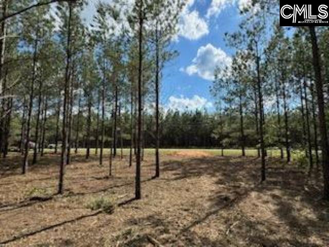 HHF 2 Old Georgetown Road #HHF 2, Kershaw, South Carolina image 1