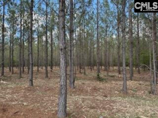 HHF 2 Old Georgetown Road #HHF 2, Kershaw, South Carolina image 3
