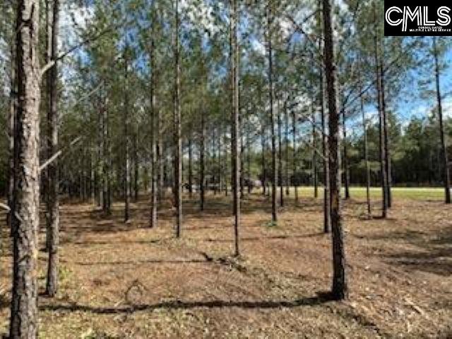 HHF 2 Old Georgetown Road #HHF 2, Kershaw, South Carolina image 4