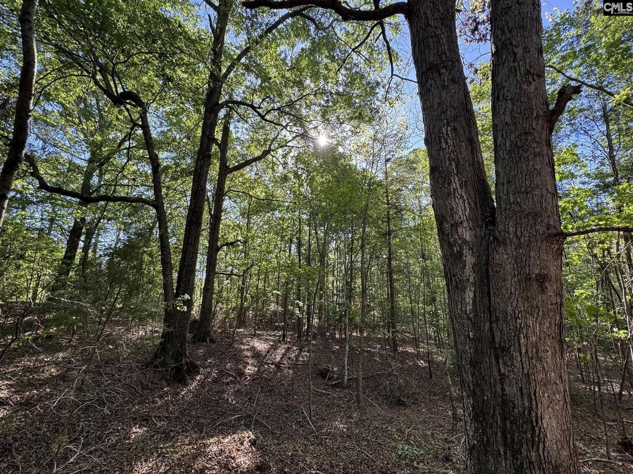 Shaw Road, Woodruff, South Carolina image 2