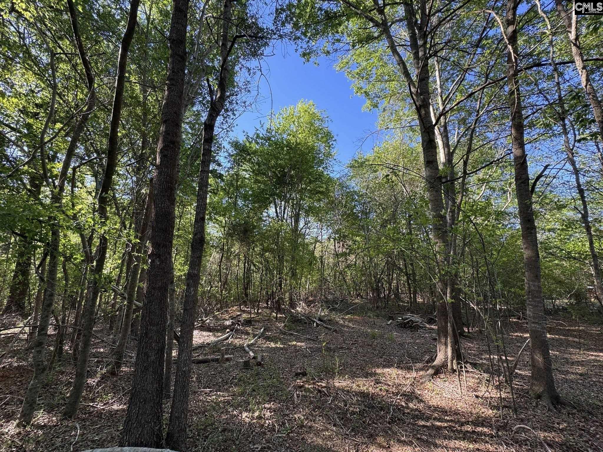 Shaw Road, Woodruff, South Carolina image 11