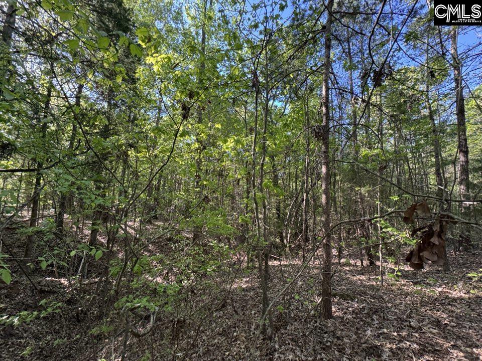 Shaw Road, Woodruff, South Carolina image 12