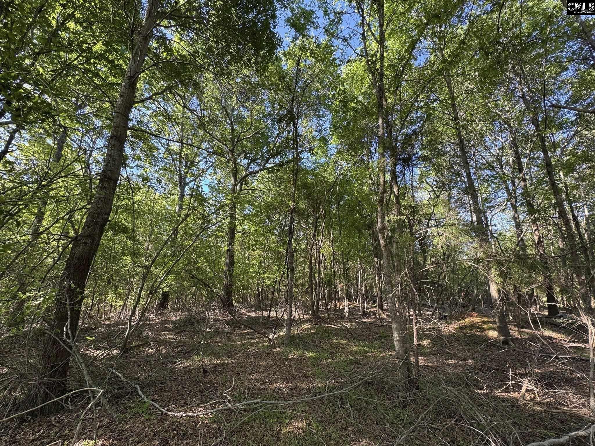Shaw Road, Woodruff, South Carolina image 13