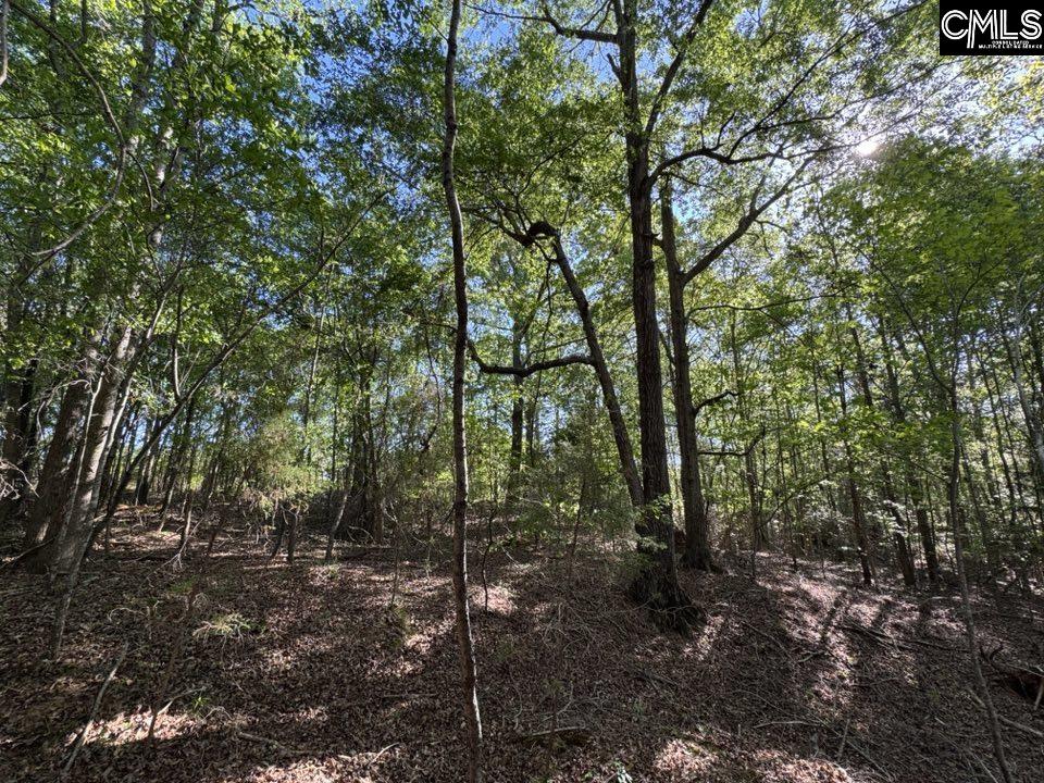 Shaw Road, Woodruff, South Carolina image 14