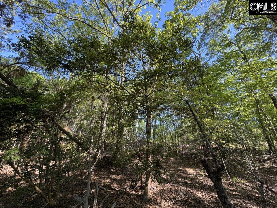 Shaw Road, Woodruff, South Carolina image 15
