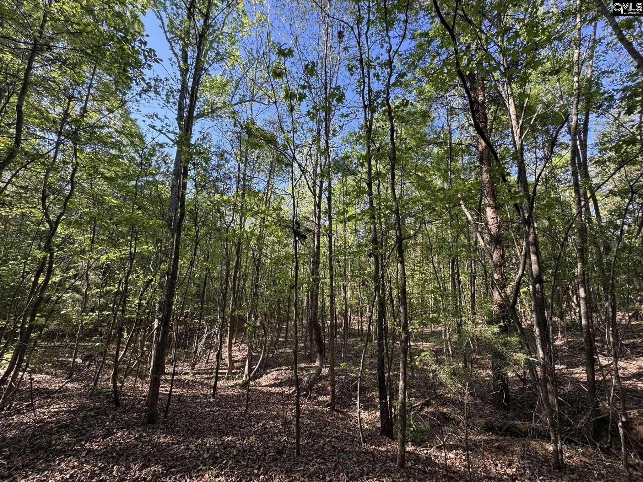 Shaw Road, Woodruff, South Carolina image 17