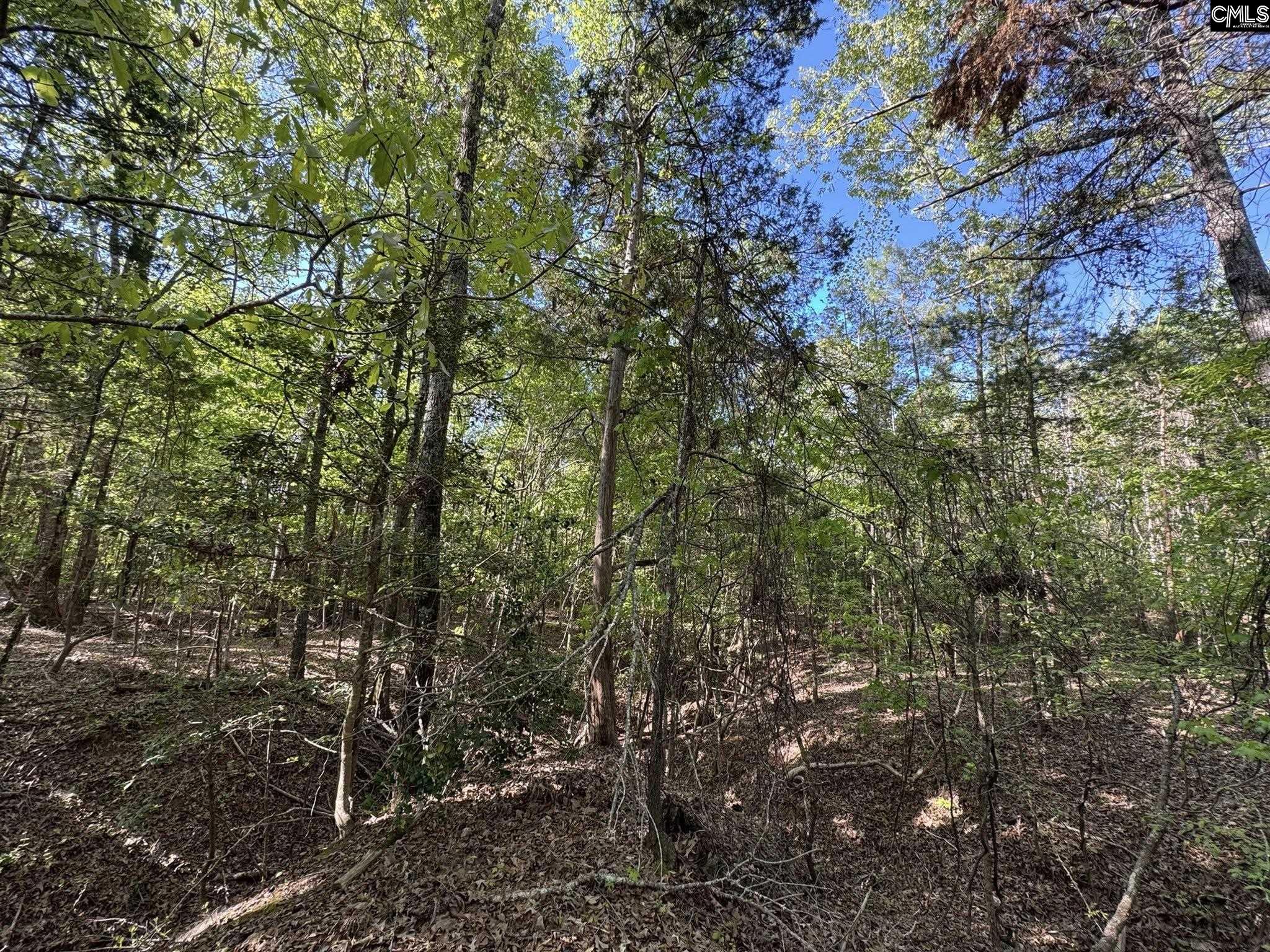 Shaw Road, Woodruff, South Carolina image 18