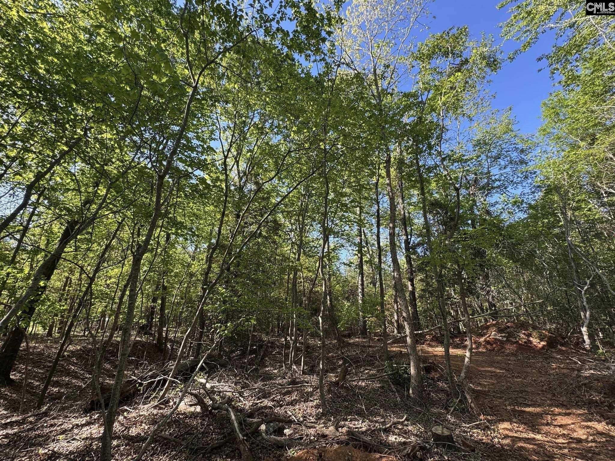 Shaw Road, Woodruff, South Carolina image 19