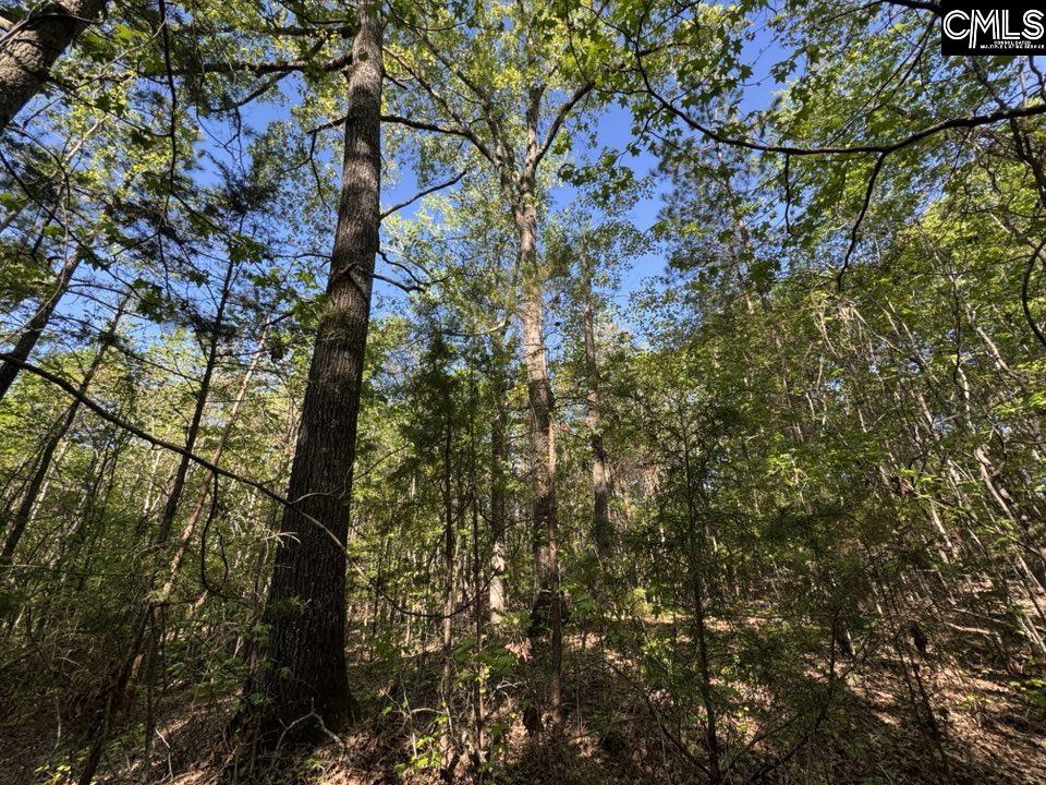Shaw Road, Woodruff, South Carolina image 20