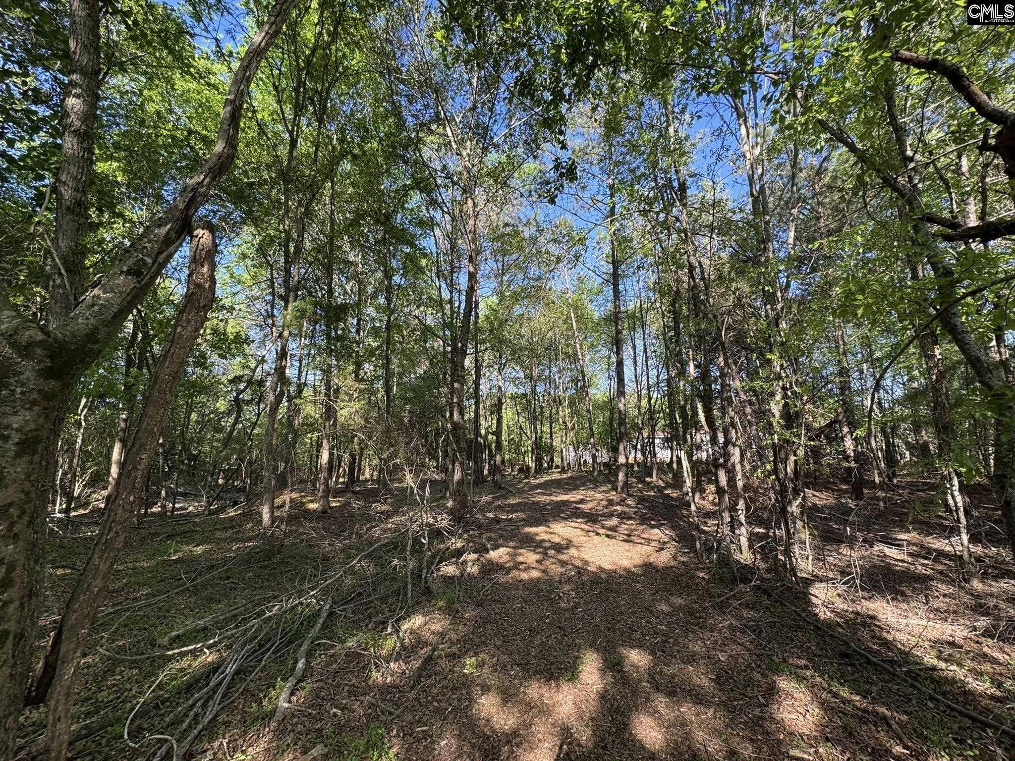 Shaw Road, Woodruff, South Carolina image 21