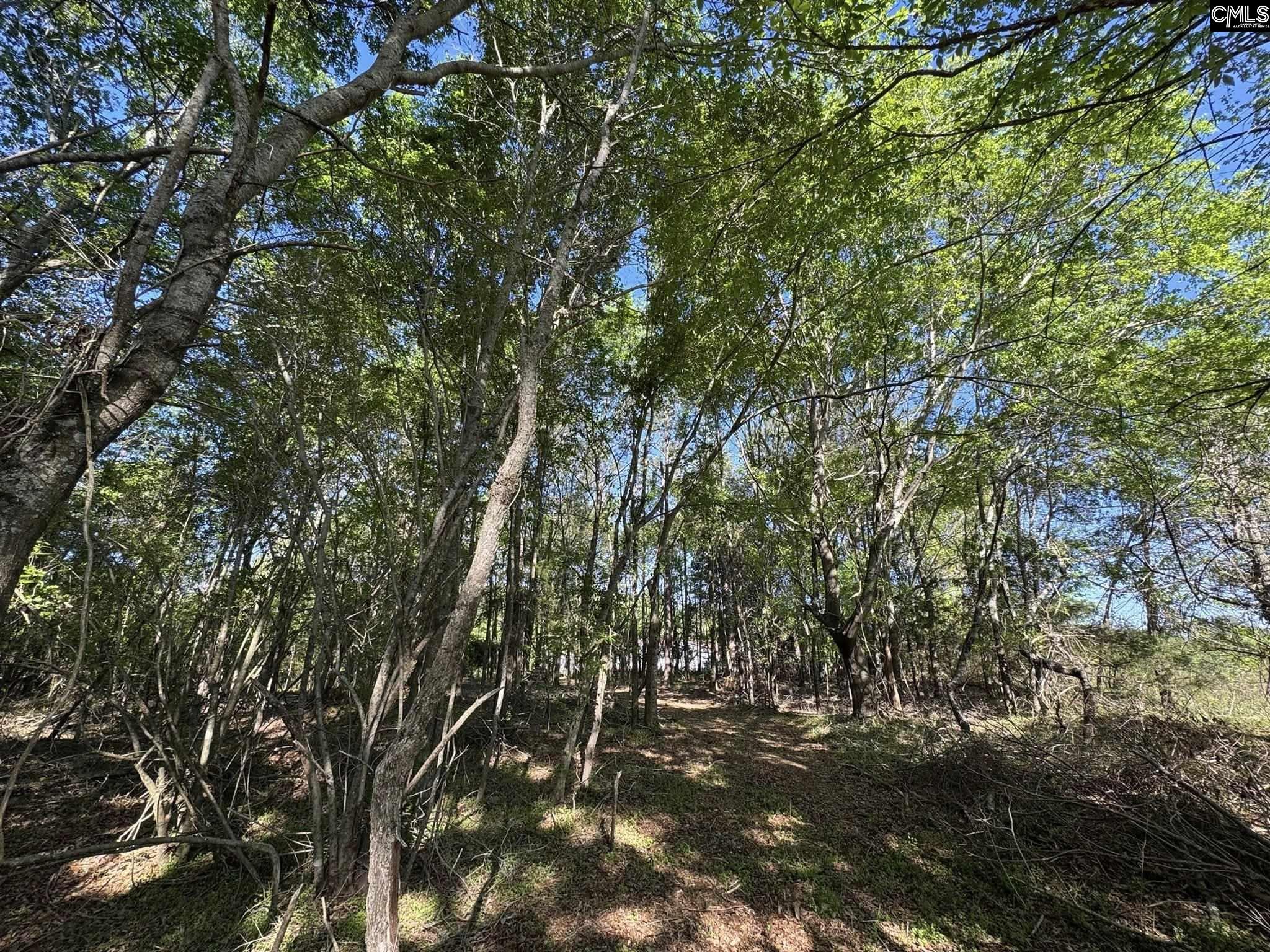 Shaw Road, Woodruff, South Carolina image 22