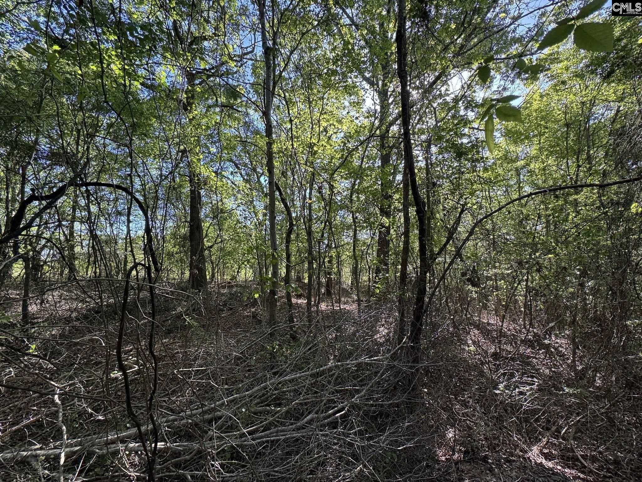 Shaw Road, Woodruff, South Carolina image 23