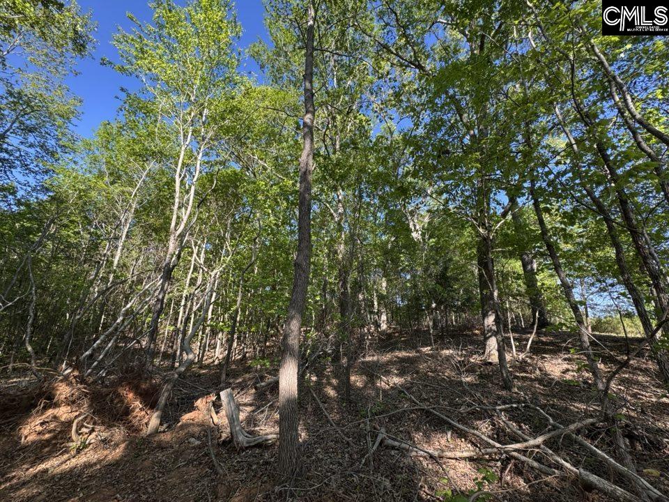 Shaw Road, Woodruff, South Carolina image 25