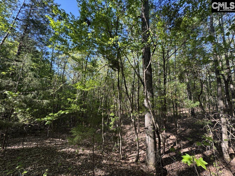 Shaw Road, Woodruff, South Carolina image 26