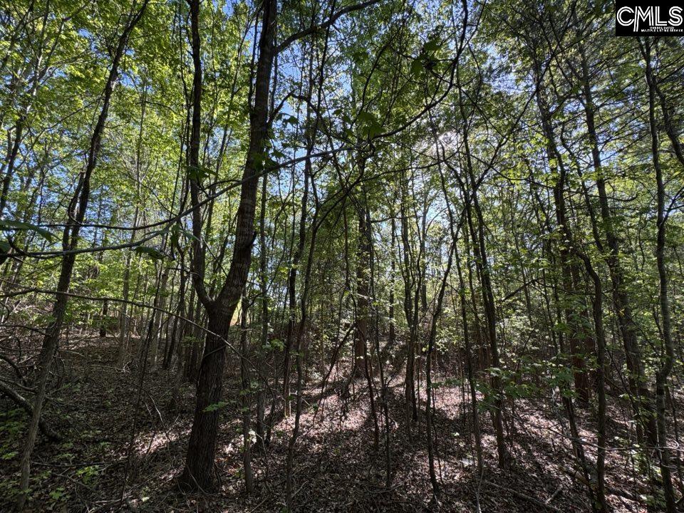 Shaw Road, Woodruff, South Carolina image 27