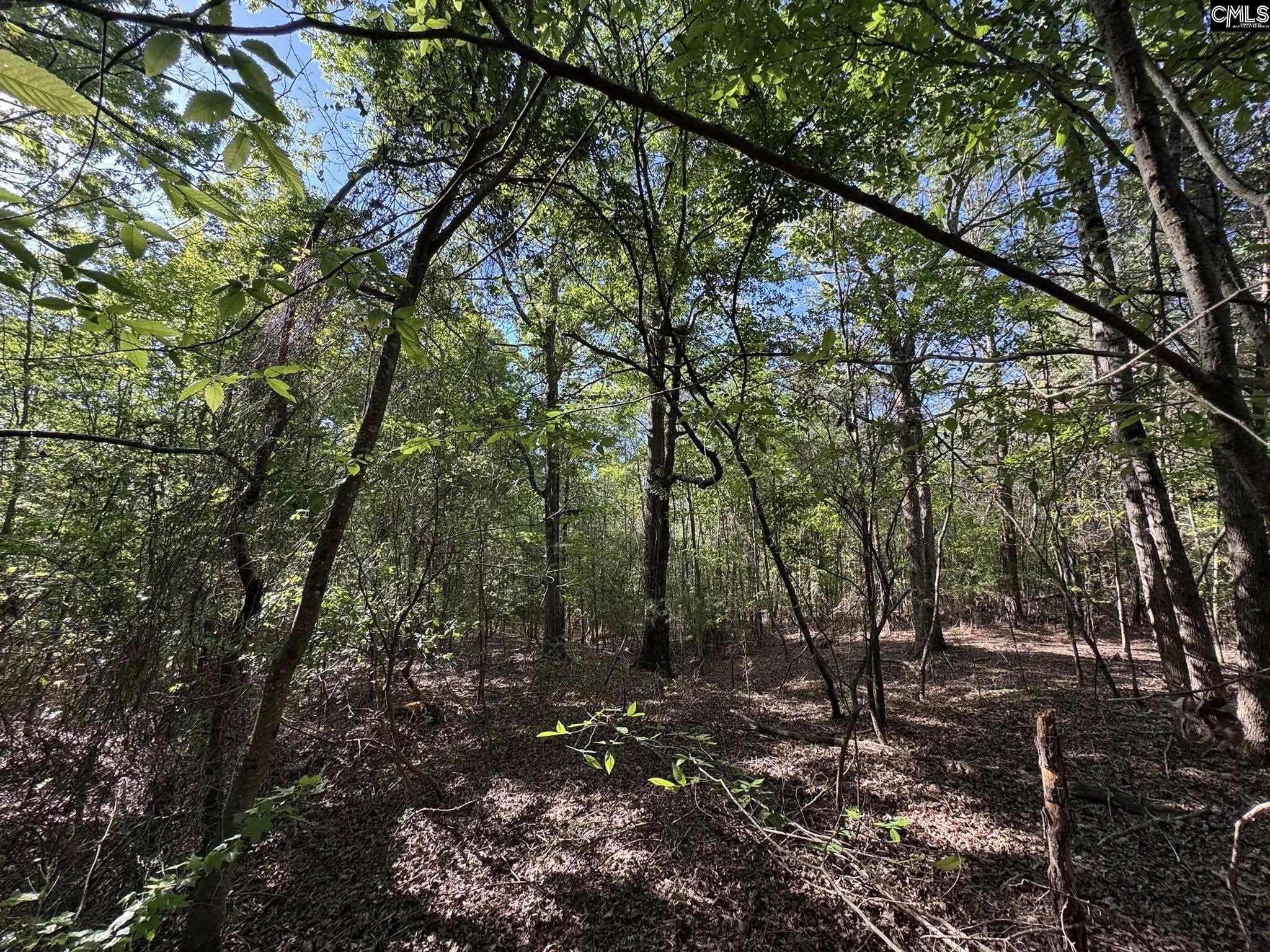 Shaw Road, Woodruff, South Carolina image 28