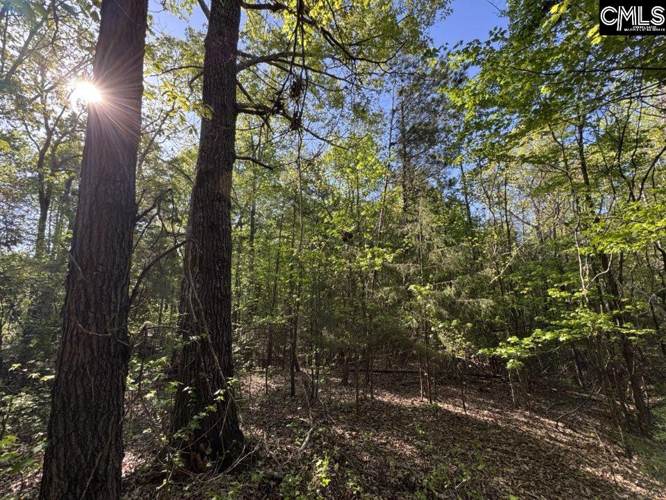 Shaw Road, Woodruff, South Carolina image 4