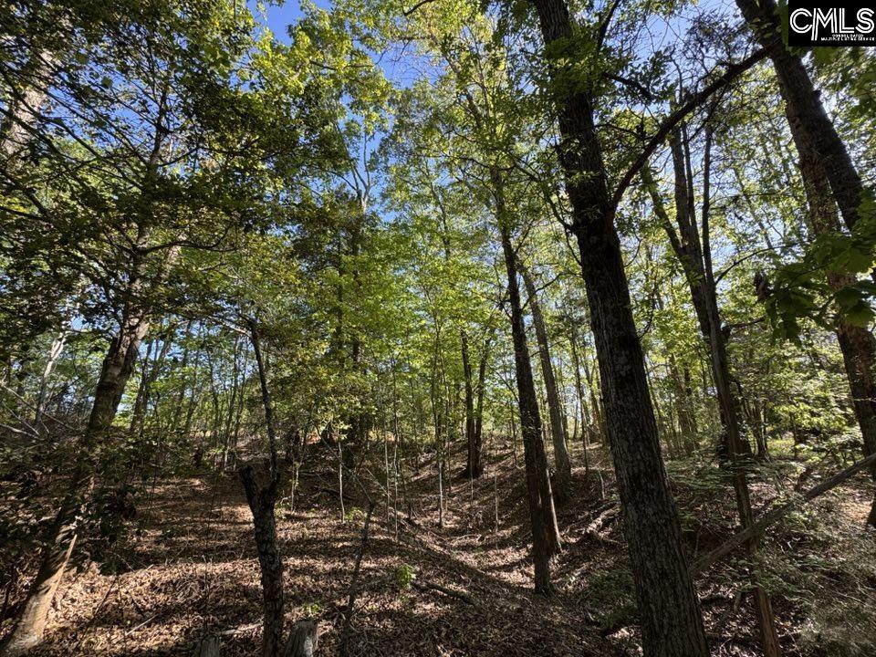 Shaw Road, Woodruff, South Carolina image 5