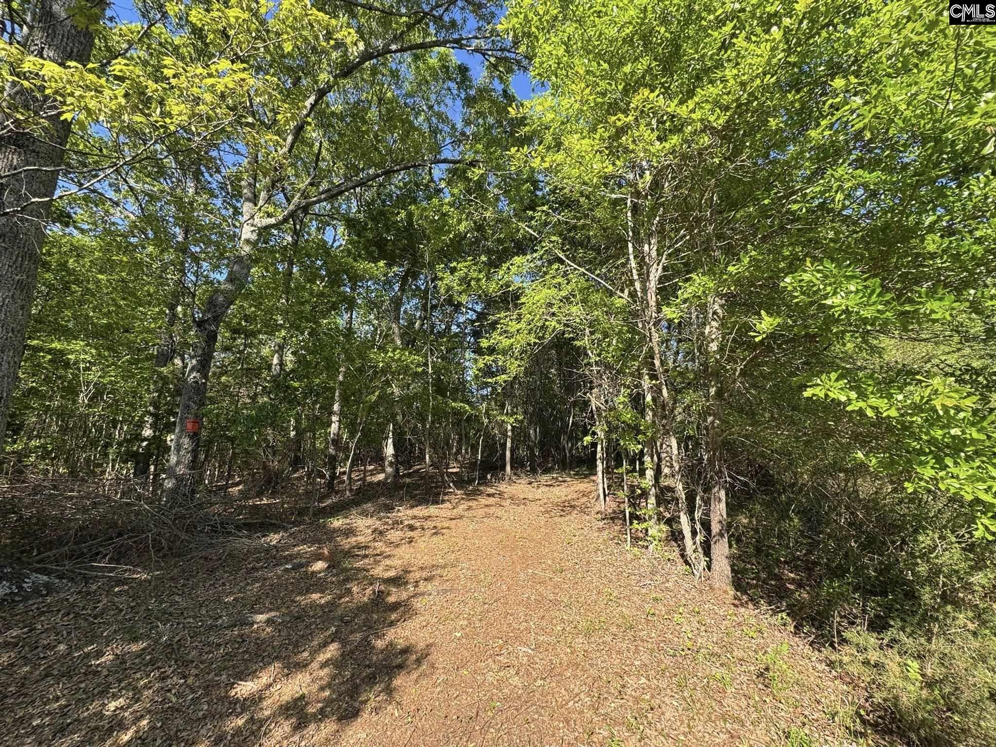 Shaw Road, Woodruff, South Carolina image 6