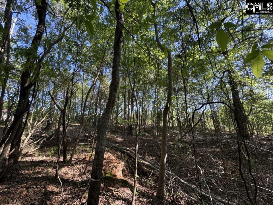 Shaw Road, Woodruff, South Carolina image 7