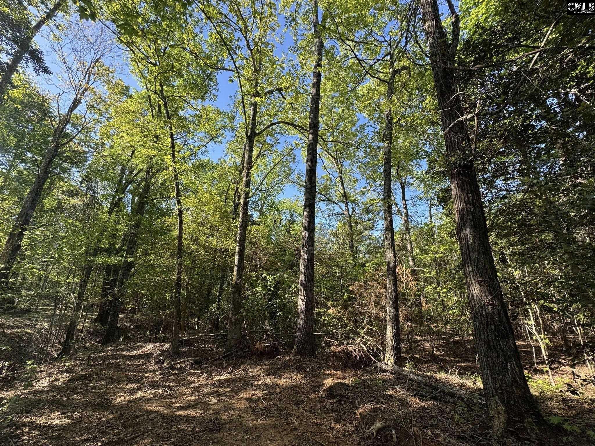 Shaw Road, Woodruff, South Carolina image 8