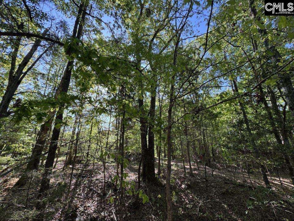 Shaw Road, Woodruff, South Carolina image 9