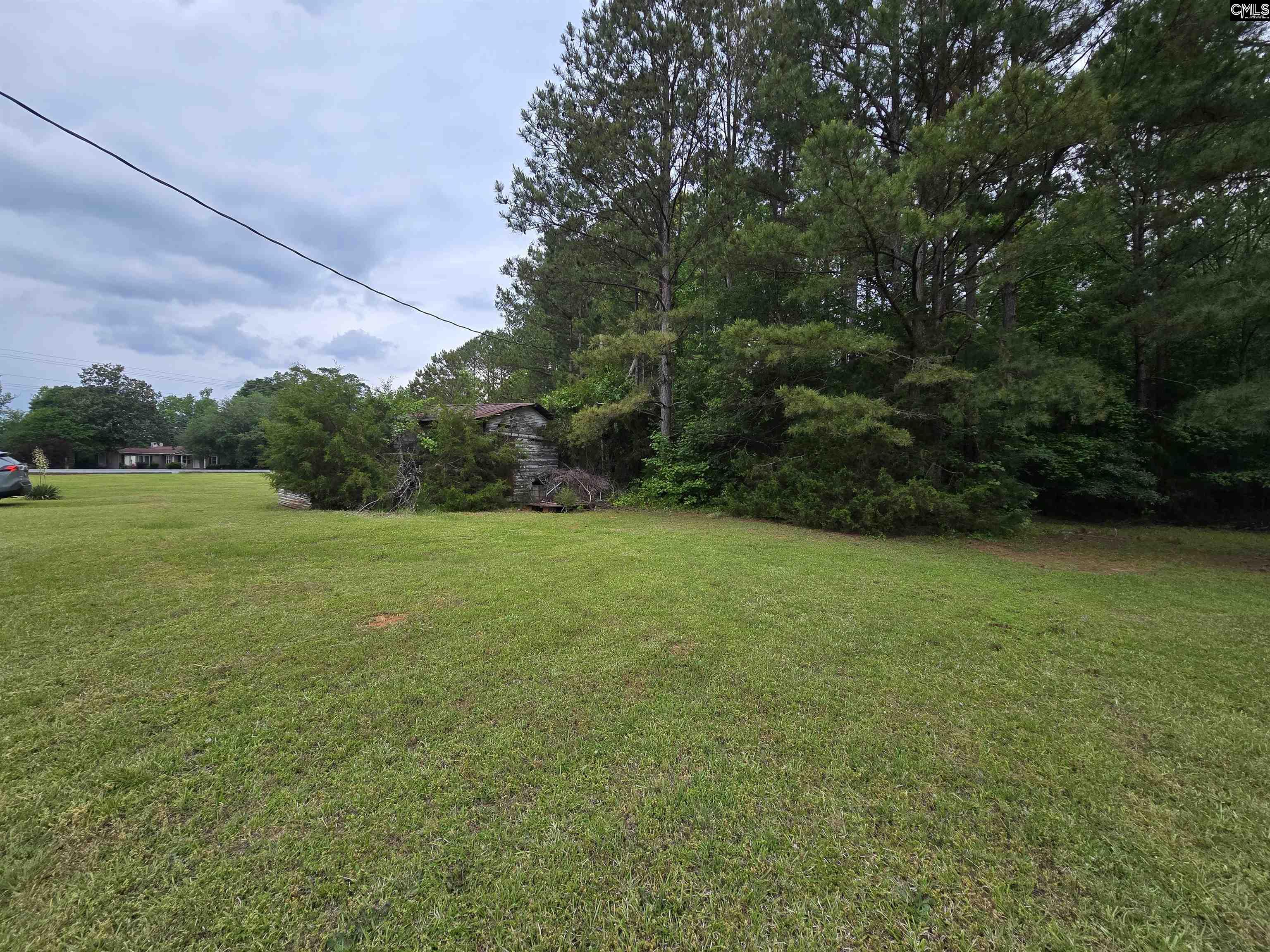 Us Hwy 176, Pomaria, South Carolina image 5