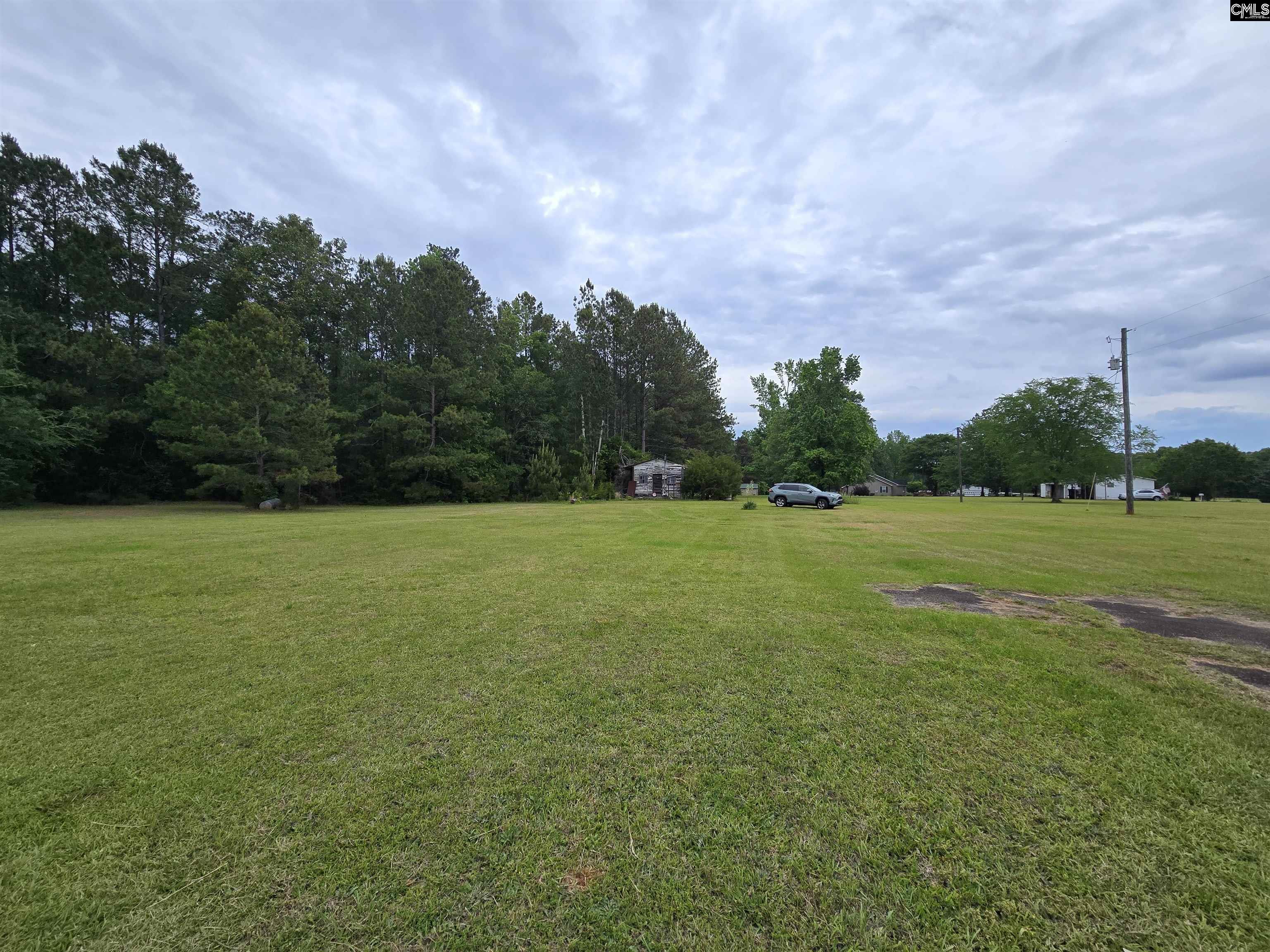 Us Hwy 176, Pomaria, South Carolina image 6