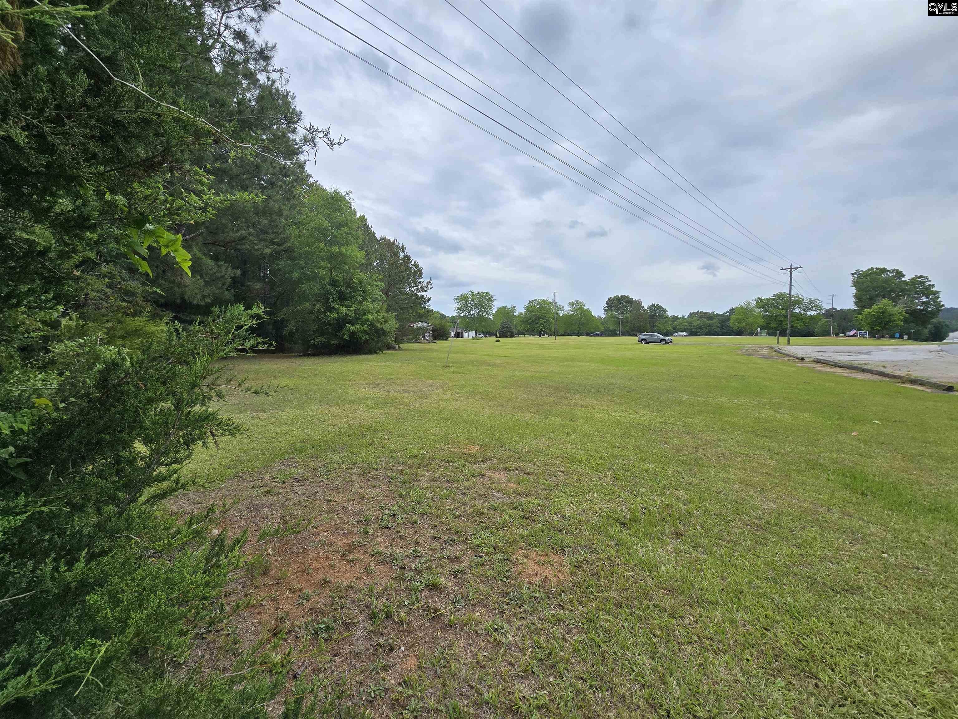 Us Hwy 176, Pomaria, South Carolina image 9