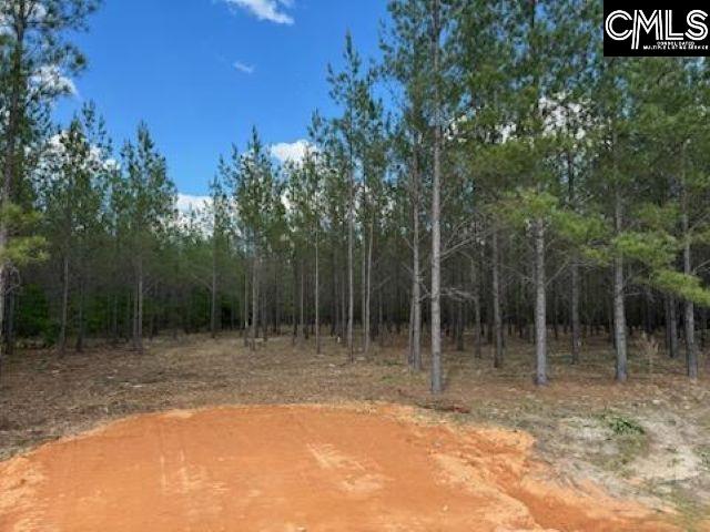 HHF 3 Old Georgetown Road #HHF 3, Kershaw, South Carolina image 2