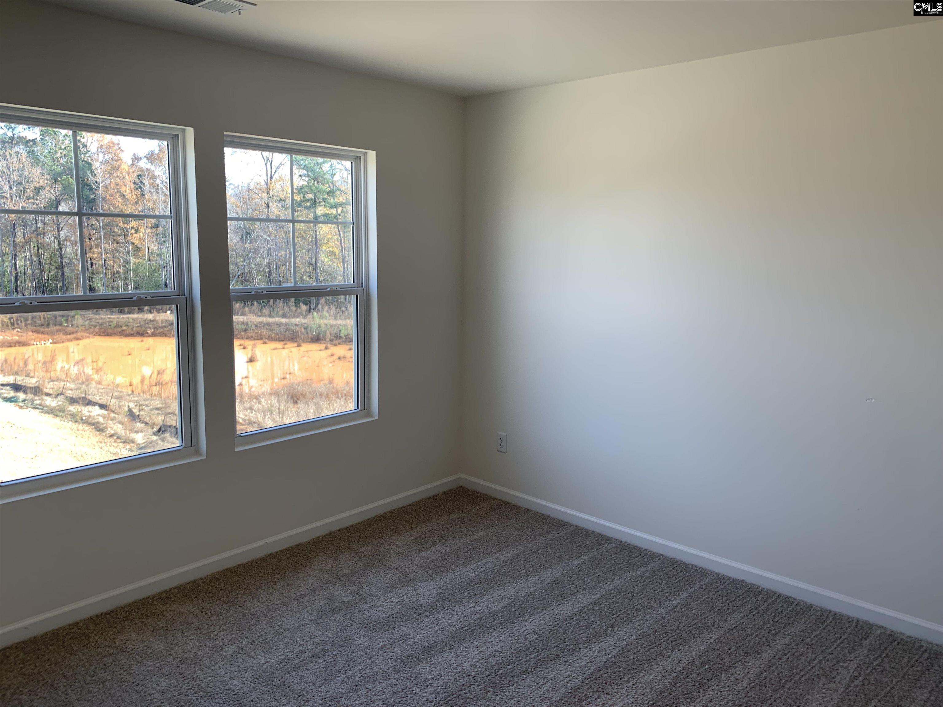 1057 Flat Coat Lane, Chapin, South Carolina image 16