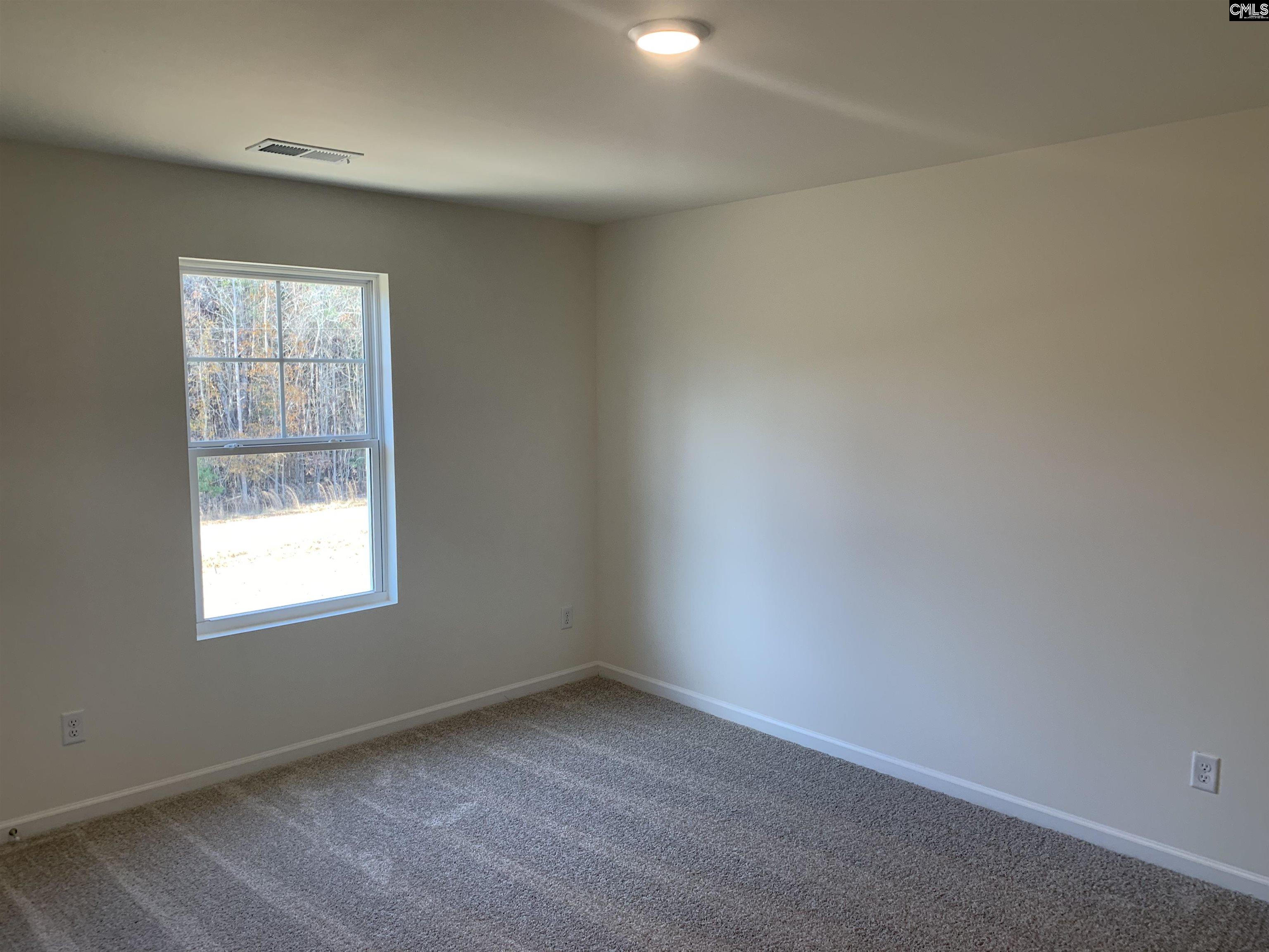 1057 Flat Coat Lane, Chapin, South Carolina image 18
