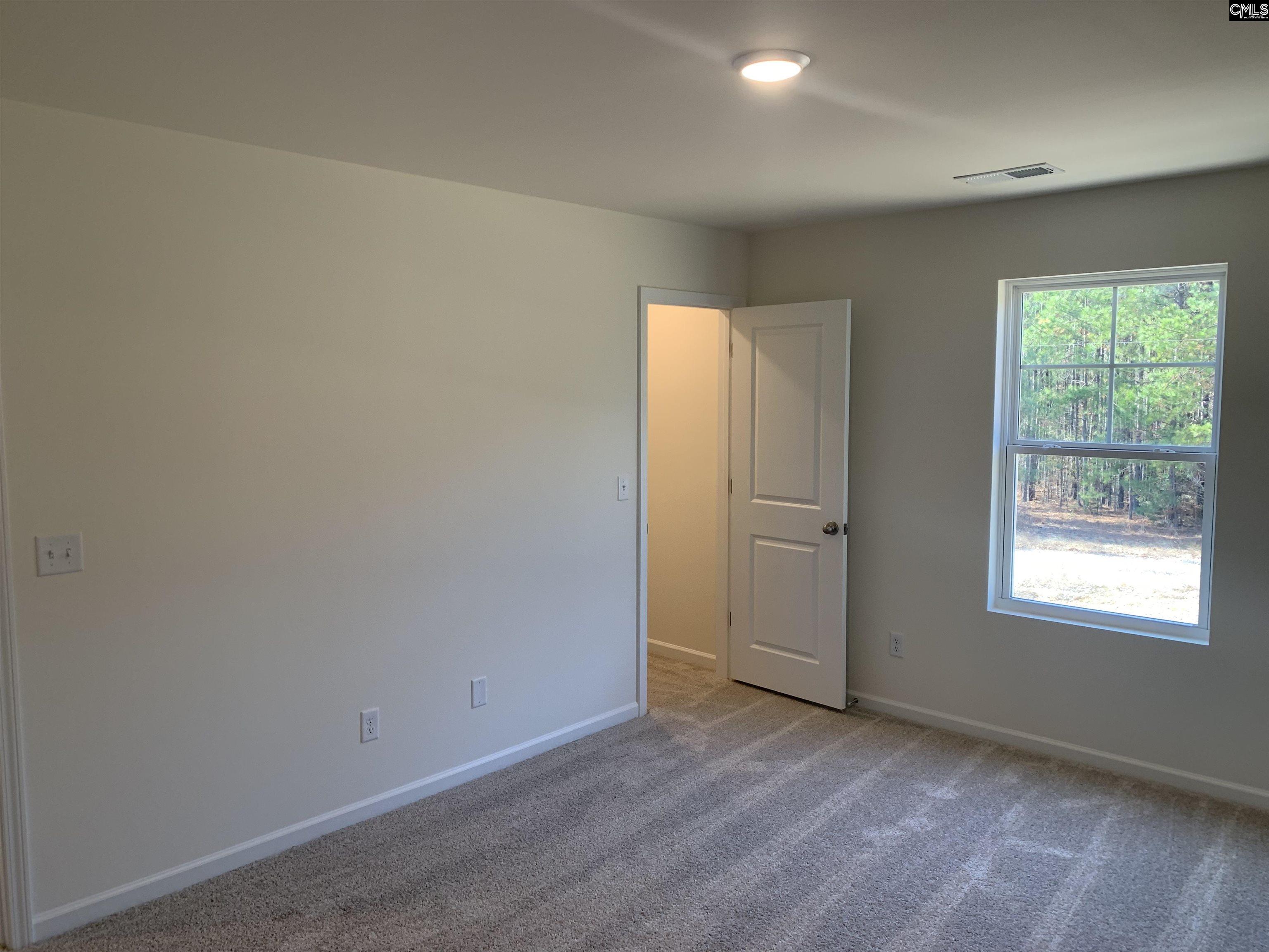 1057 Flat Coat Lane, Chapin, South Carolina image 19