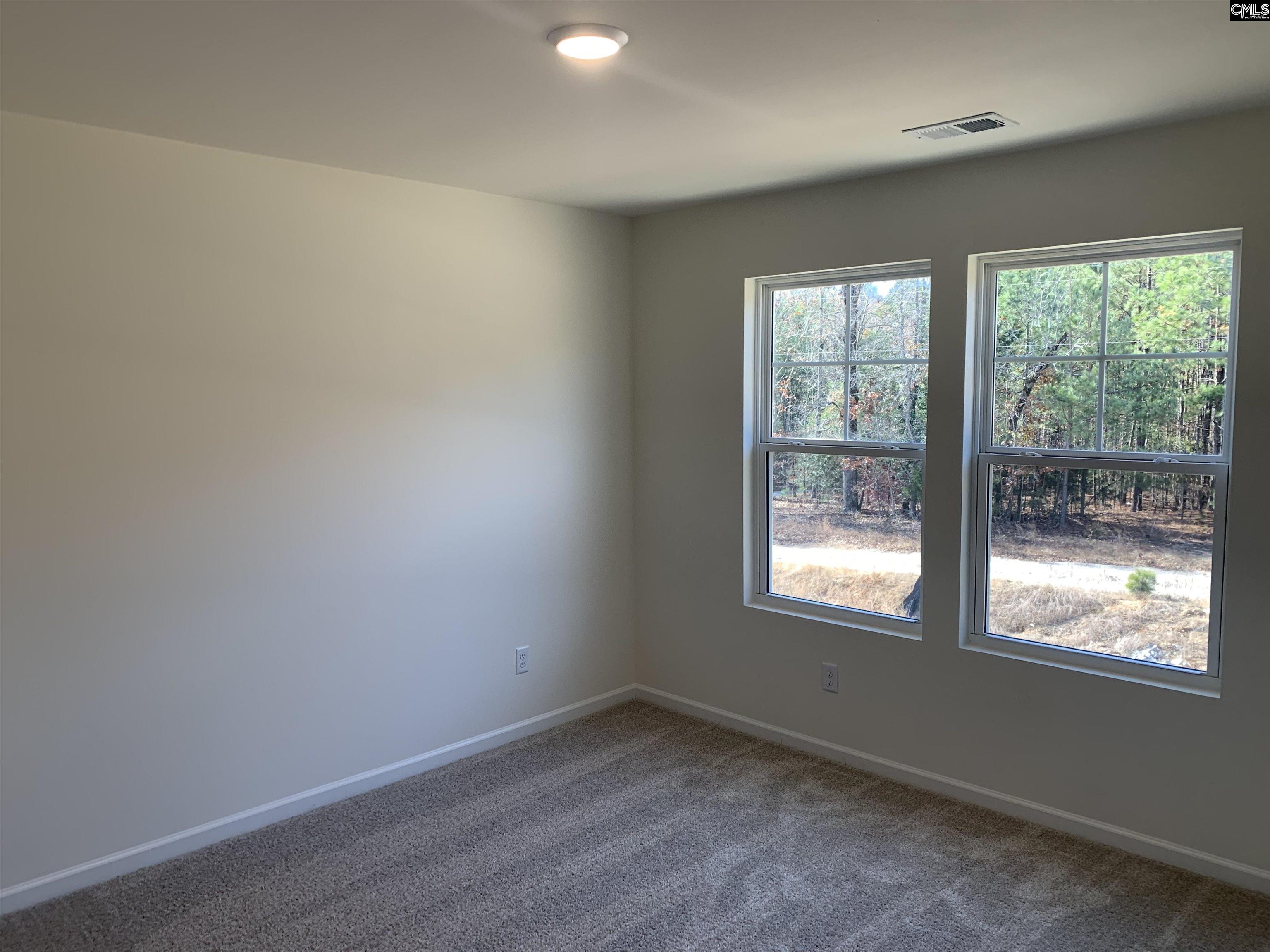 1057 Flat Coat Lane, Chapin, South Carolina image 20