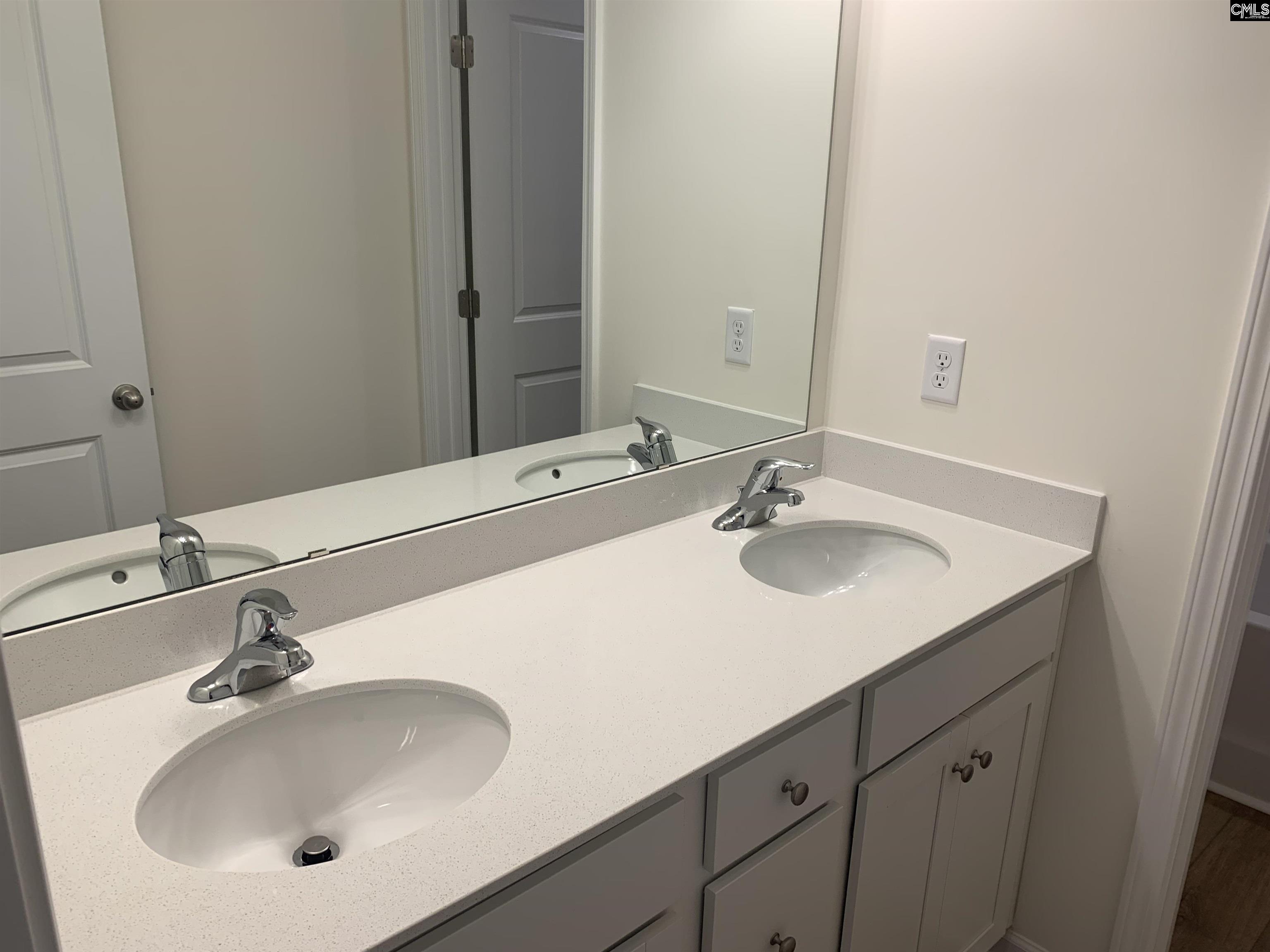 1057 Flat Coat Lane, Chapin, South Carolina image 22