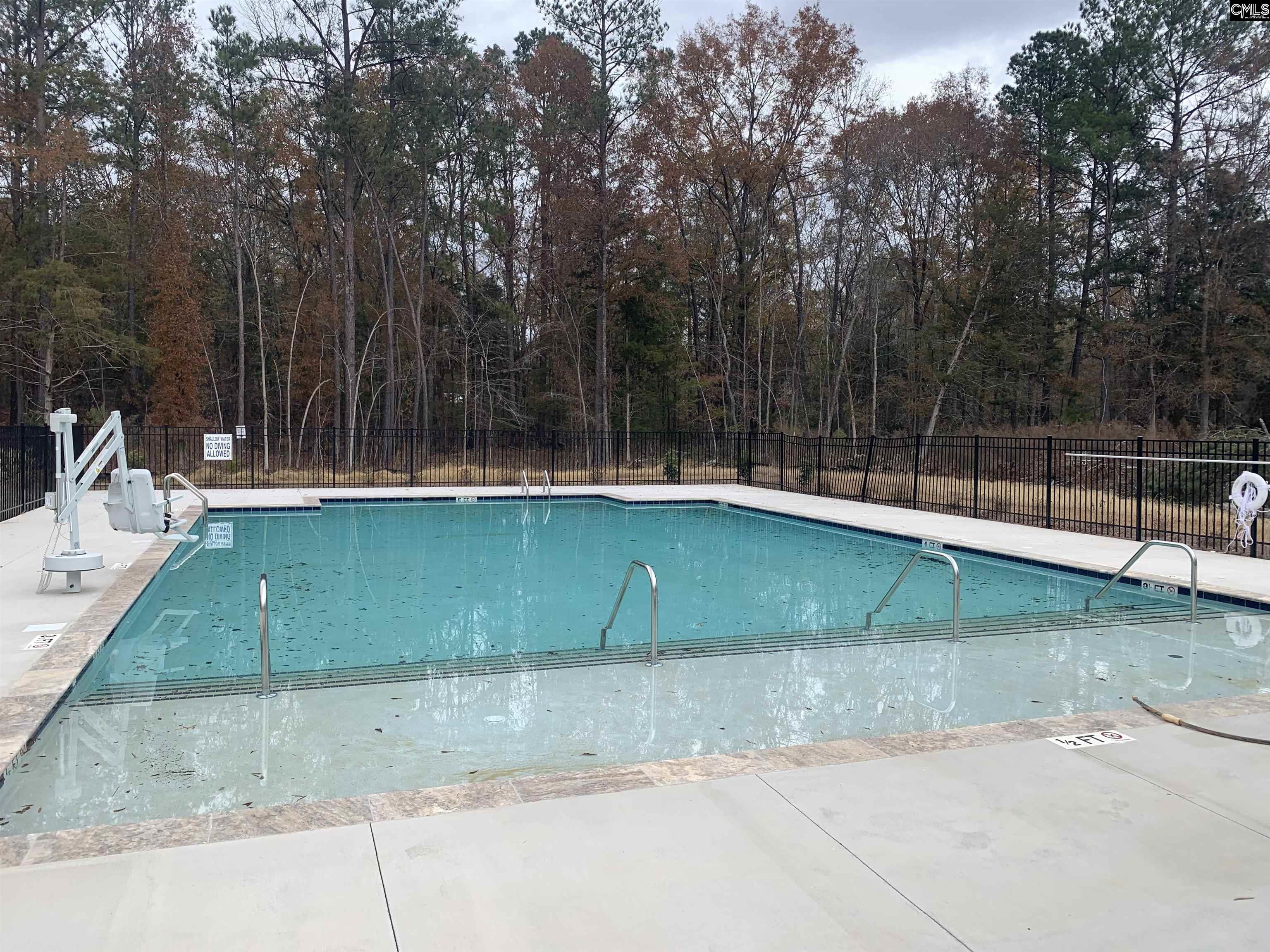 1057 Flat Coat Lane, Chapin, South Carolina image 24