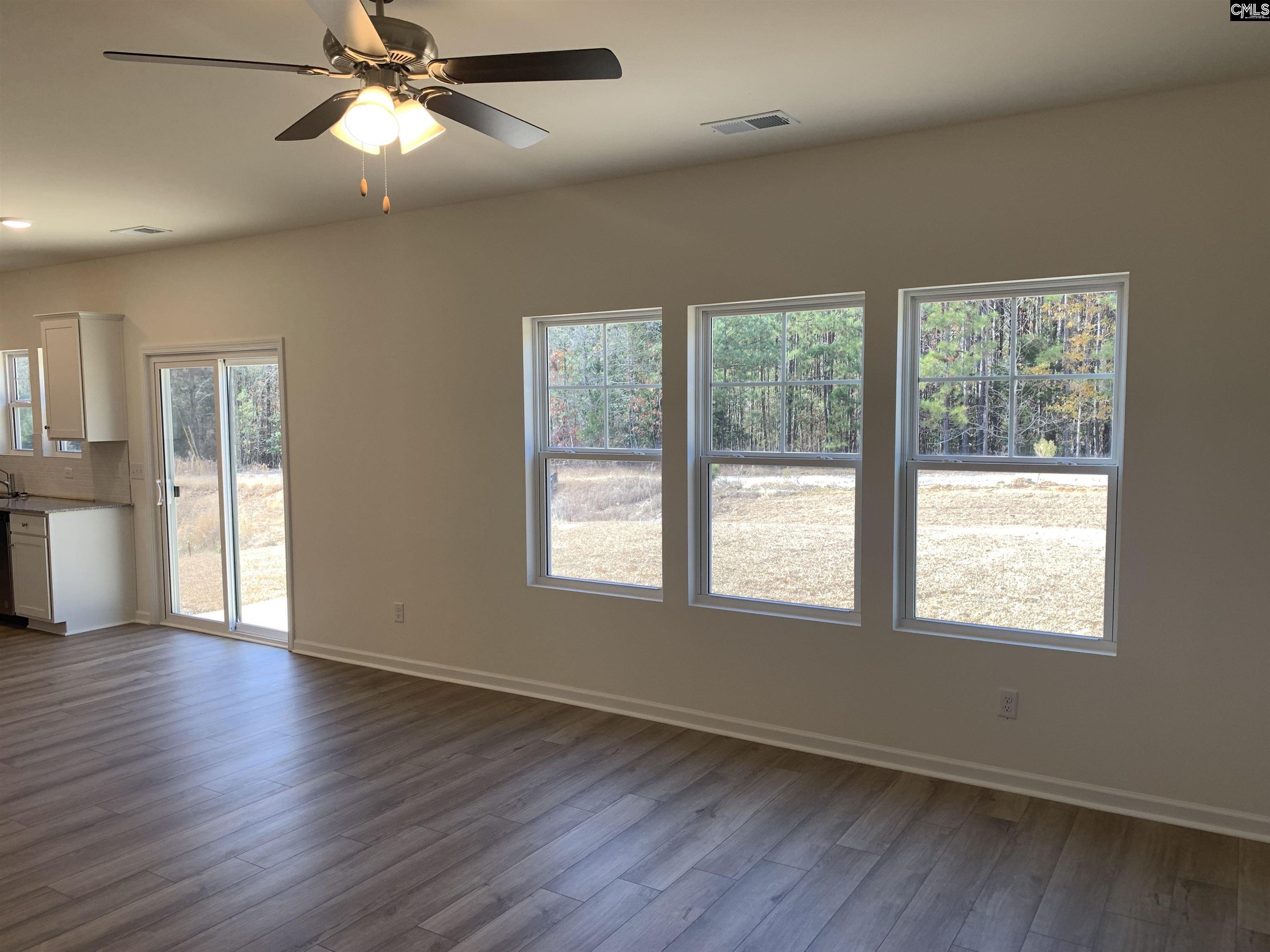 1057 Flat Coat Lane, Chapin, South Carolina image 6