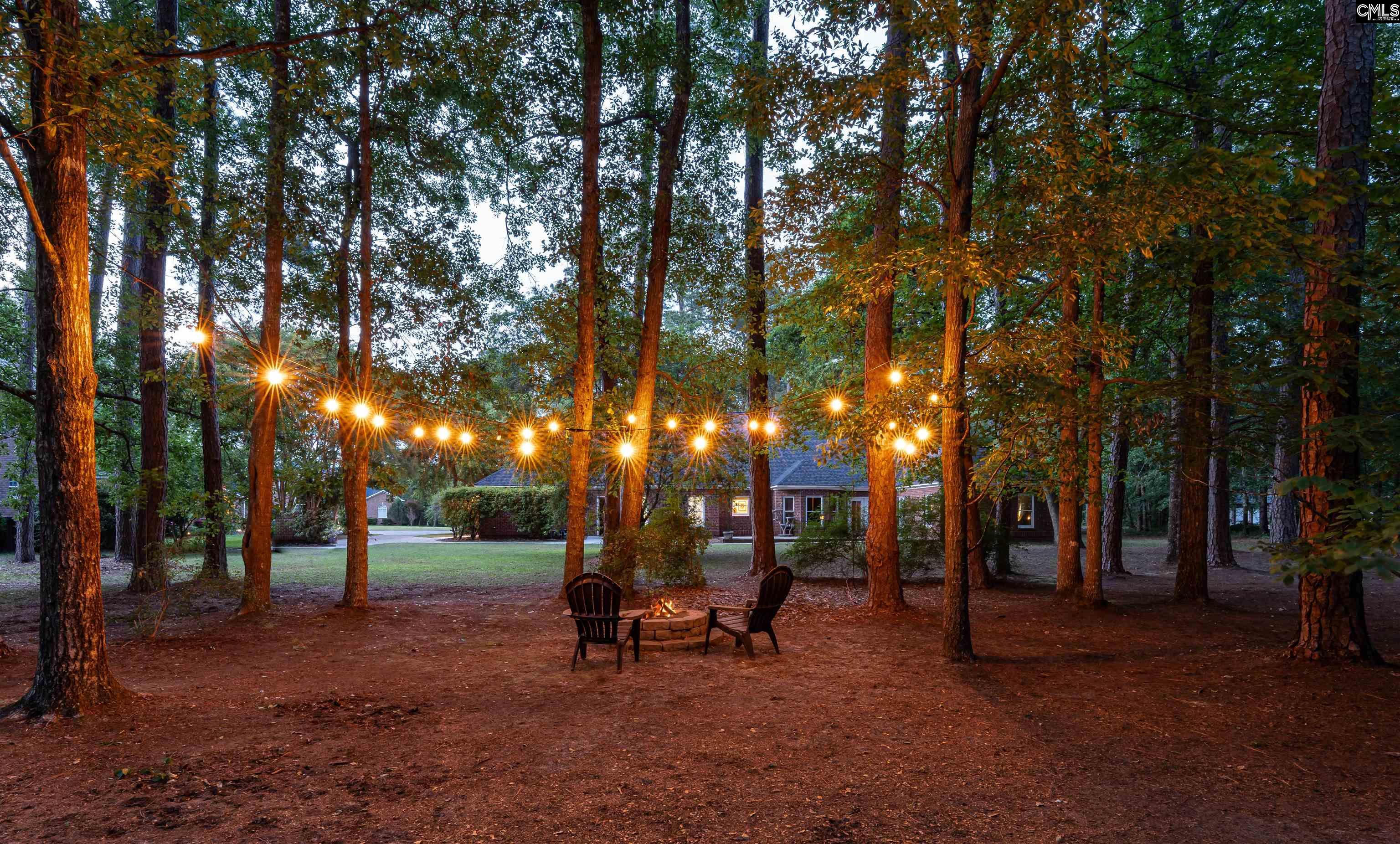 111 Coltsgate Court, Summerville, South Carolina image 38