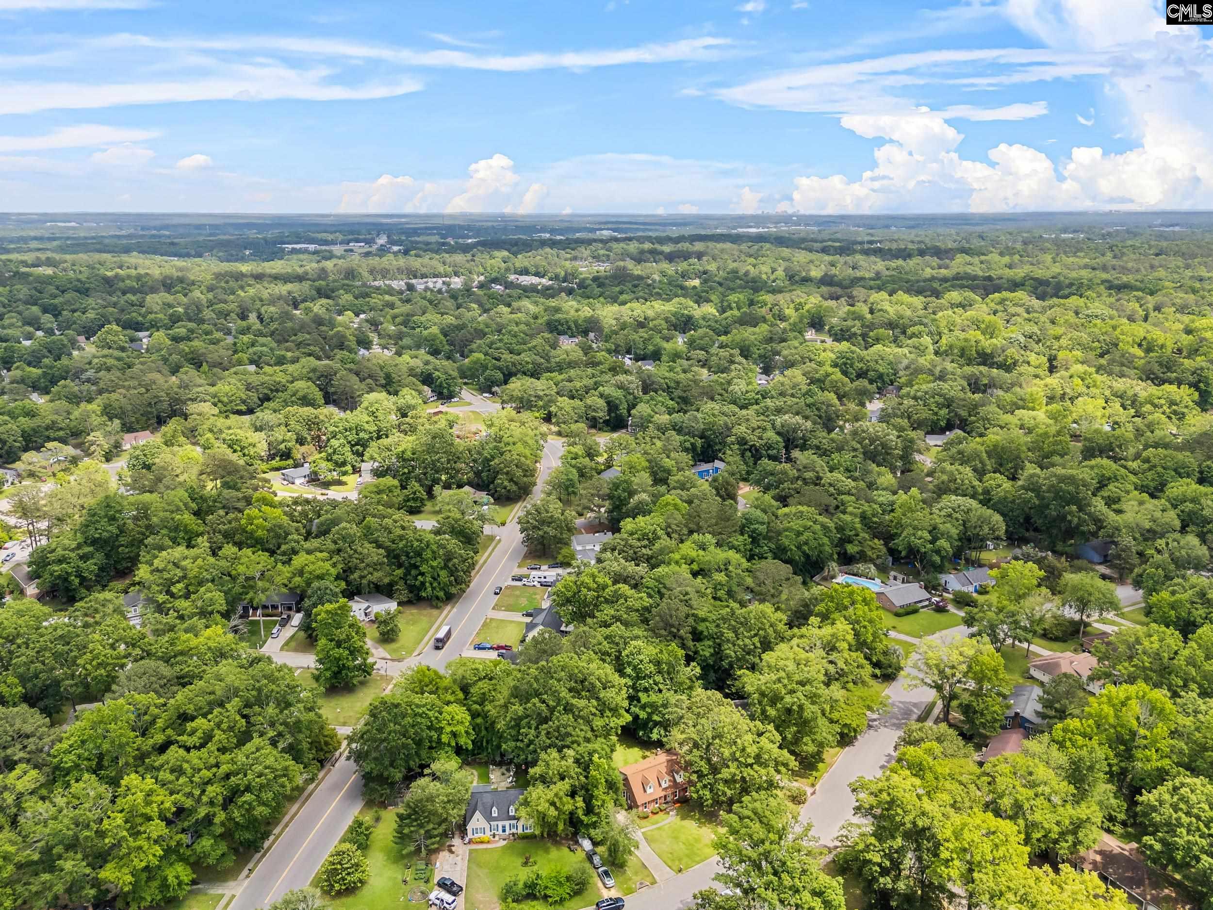 401 Brickling Road, Irmo, South Carolina image 43