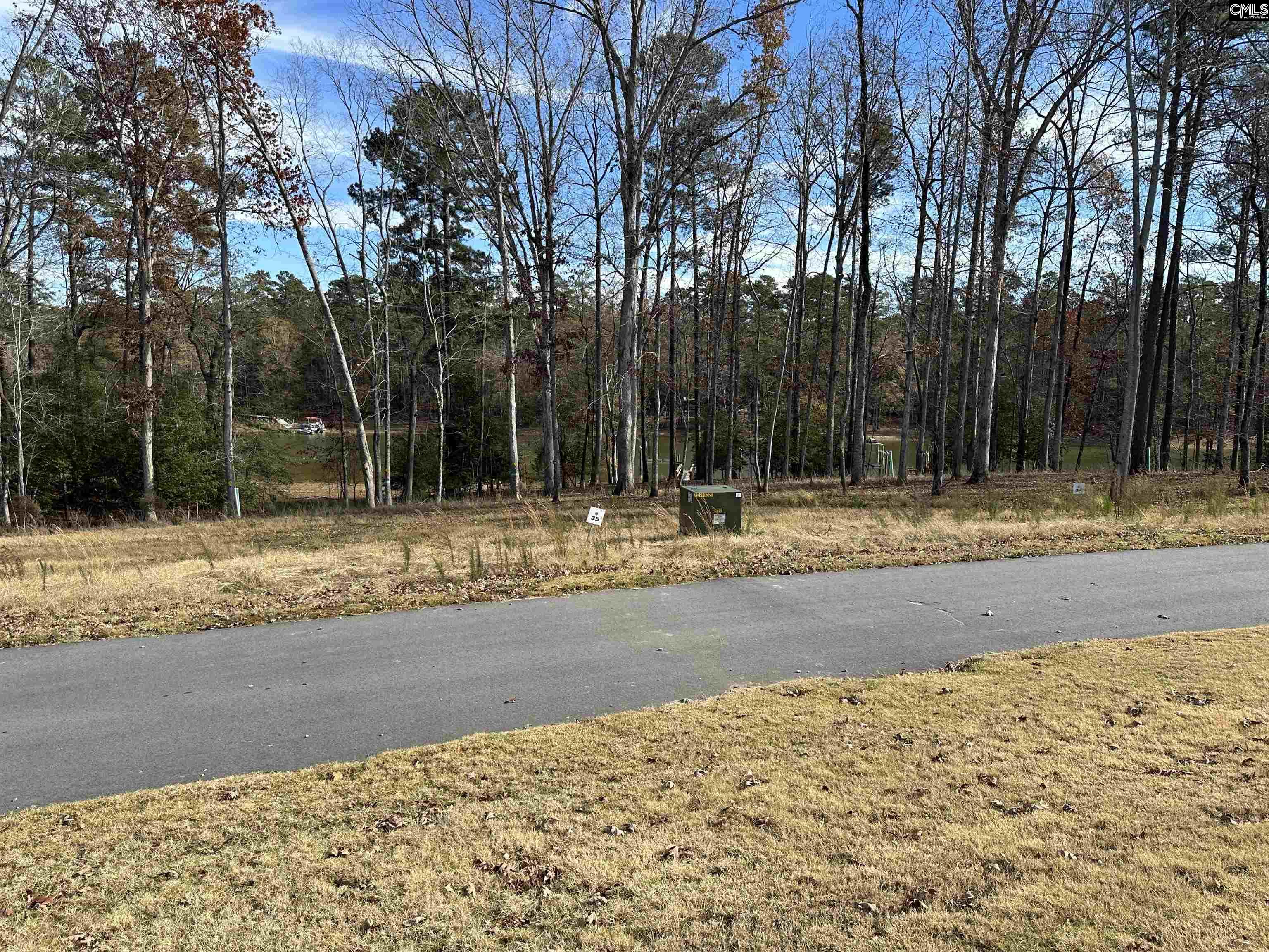Lot 35 Shoreview Drive, Prosperity, South Carolina image 15