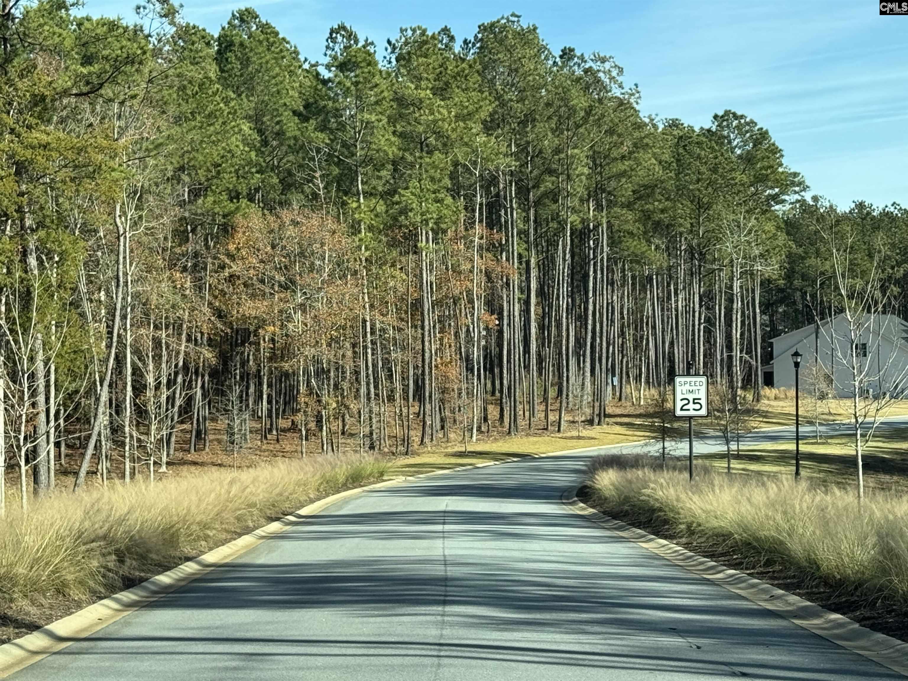 Lot 35 Shoreview Drive, Prosperity, South Carolina image 16