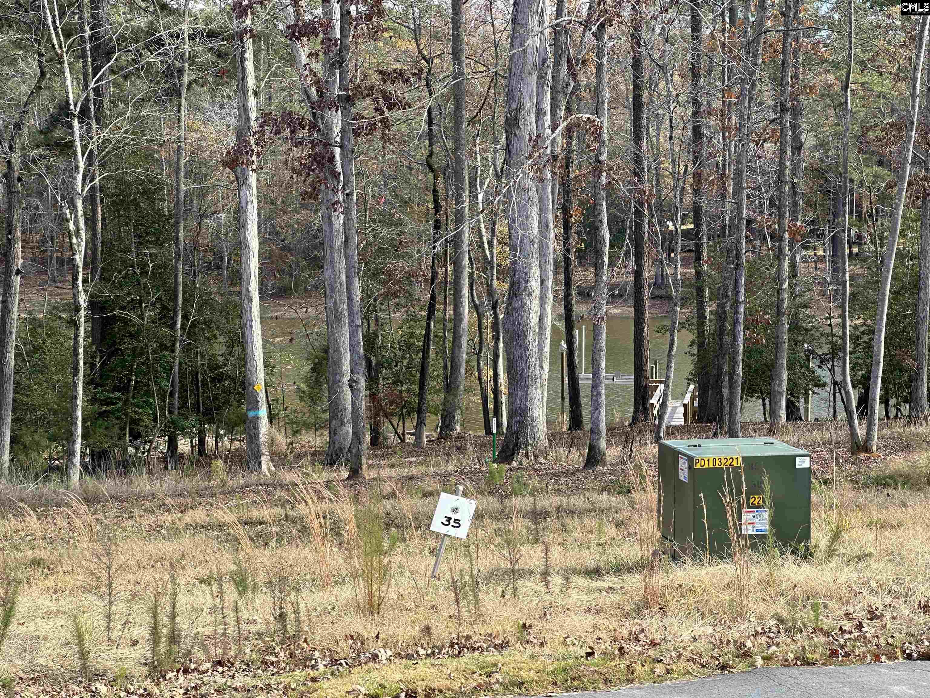 Lot 35 Shoreview Drive, Prosperity, South Carolina image 22