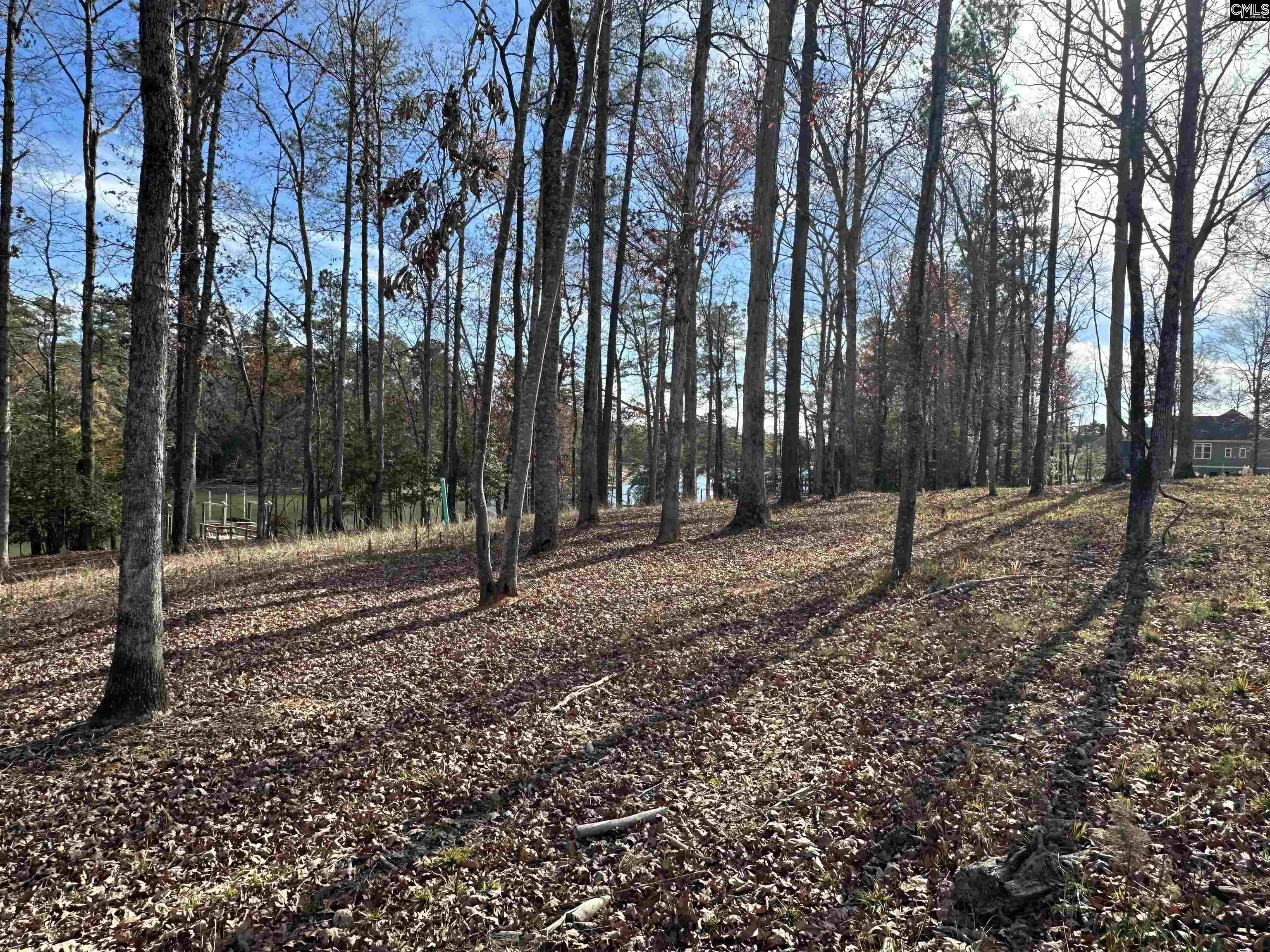 Lot 35 Shoreview Drive, Prosperity, South Carolina image 4