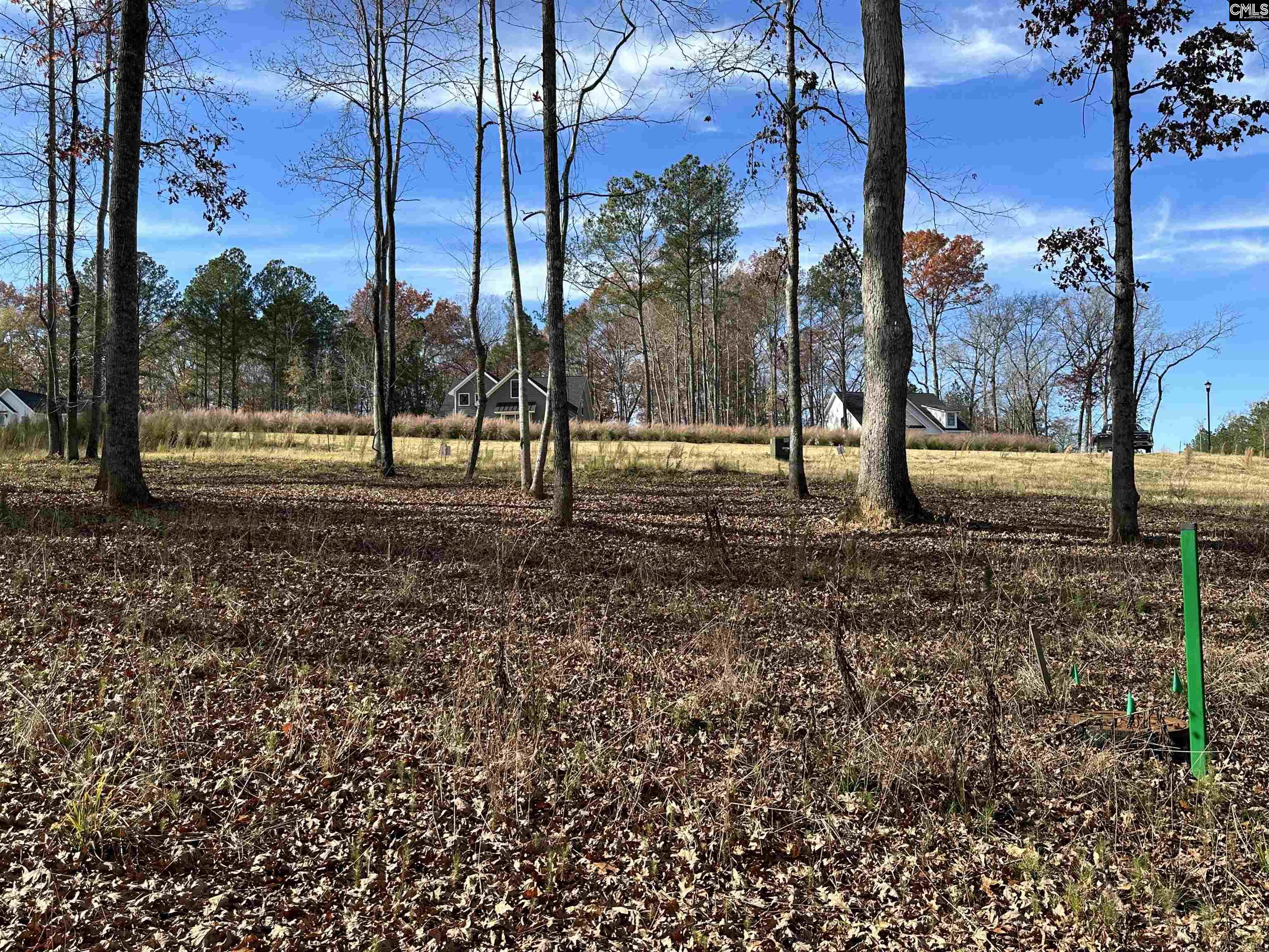 Lot 35 Shoreview Drive, Prosperity, South Carolina image 6