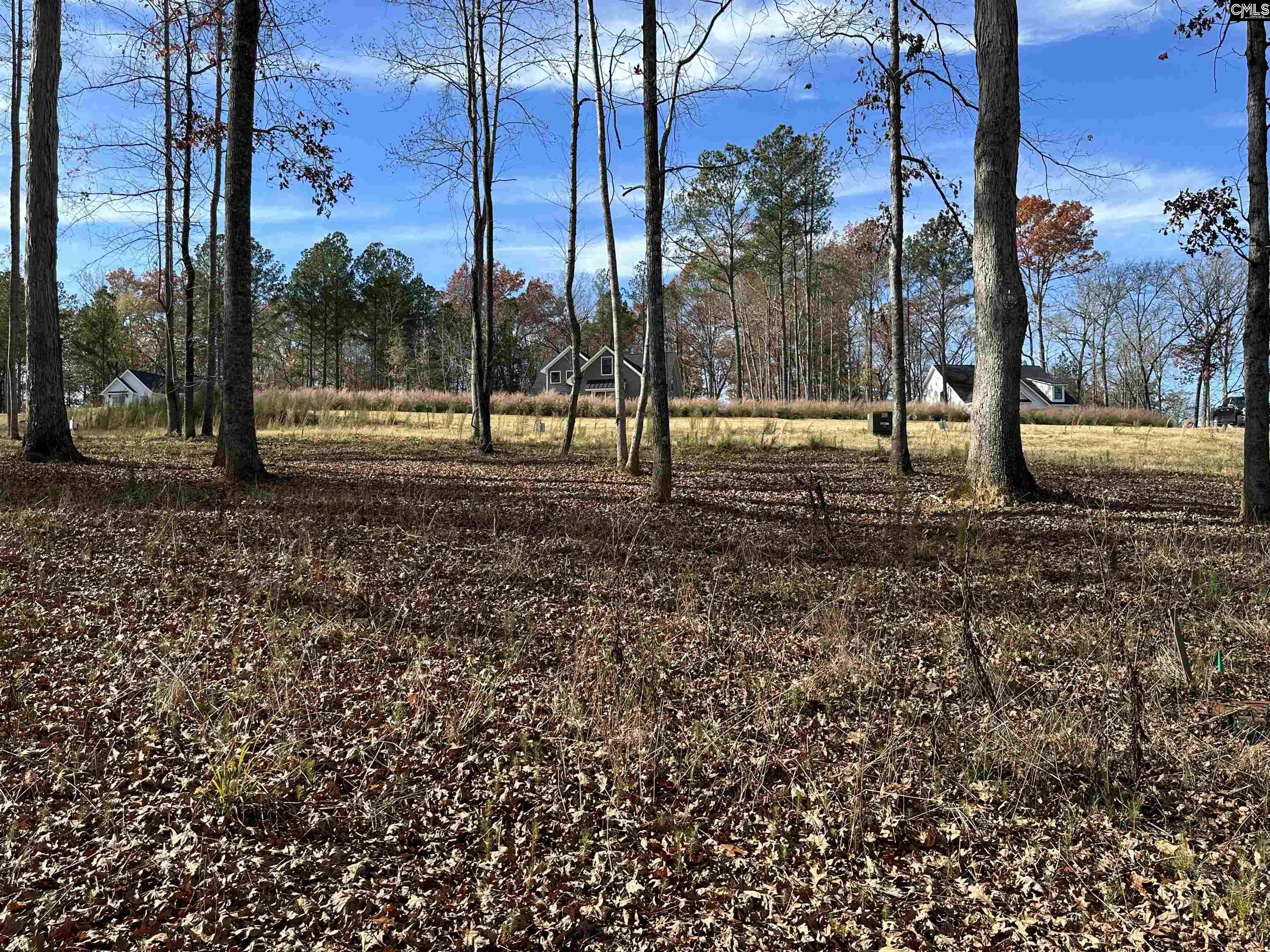 Lot 35 Shoreview Drive, Prosperity, South Carolina image 7