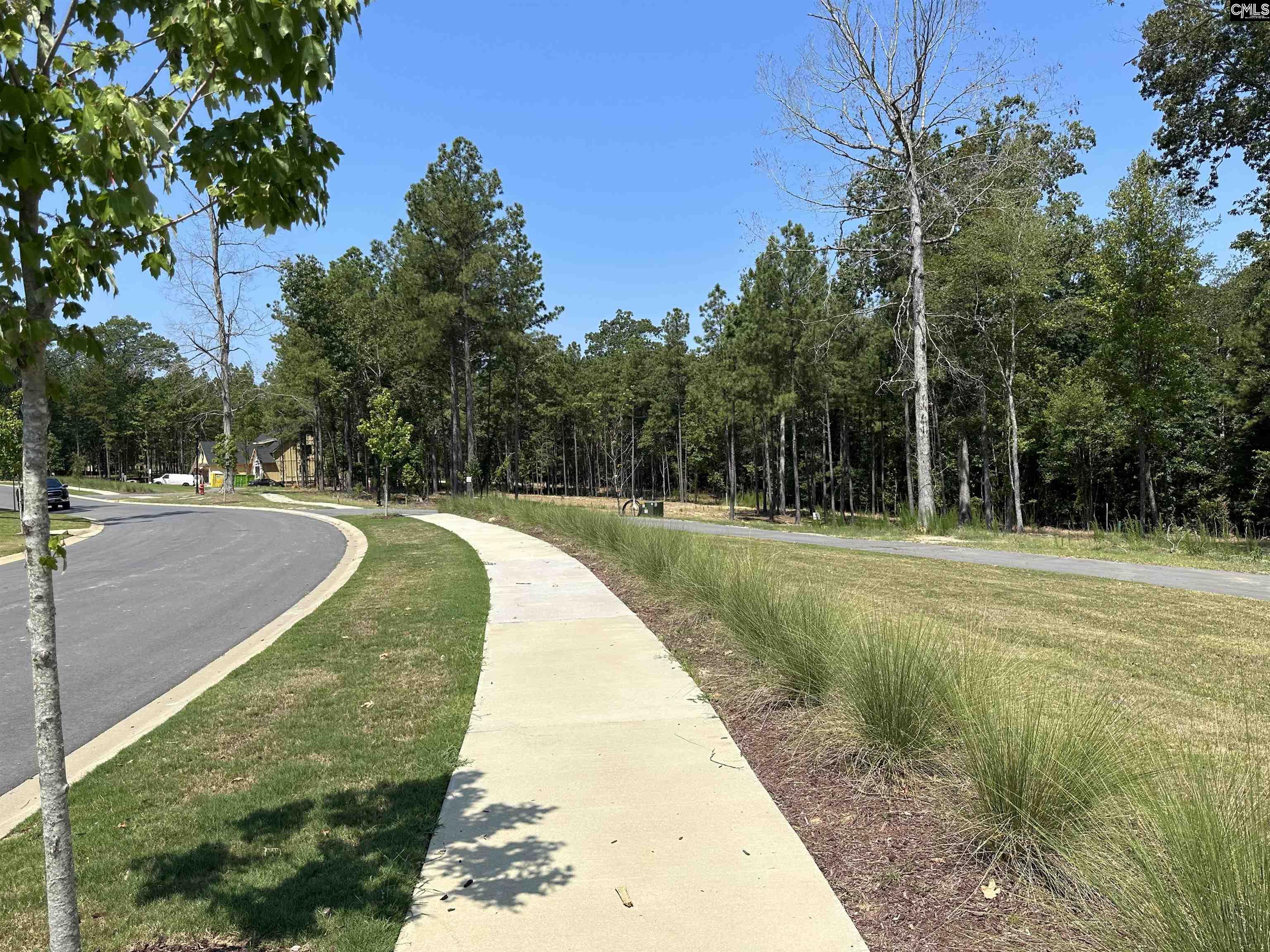 Lot 35 Shoreview Drive, Prosperity, South Carolina image 8