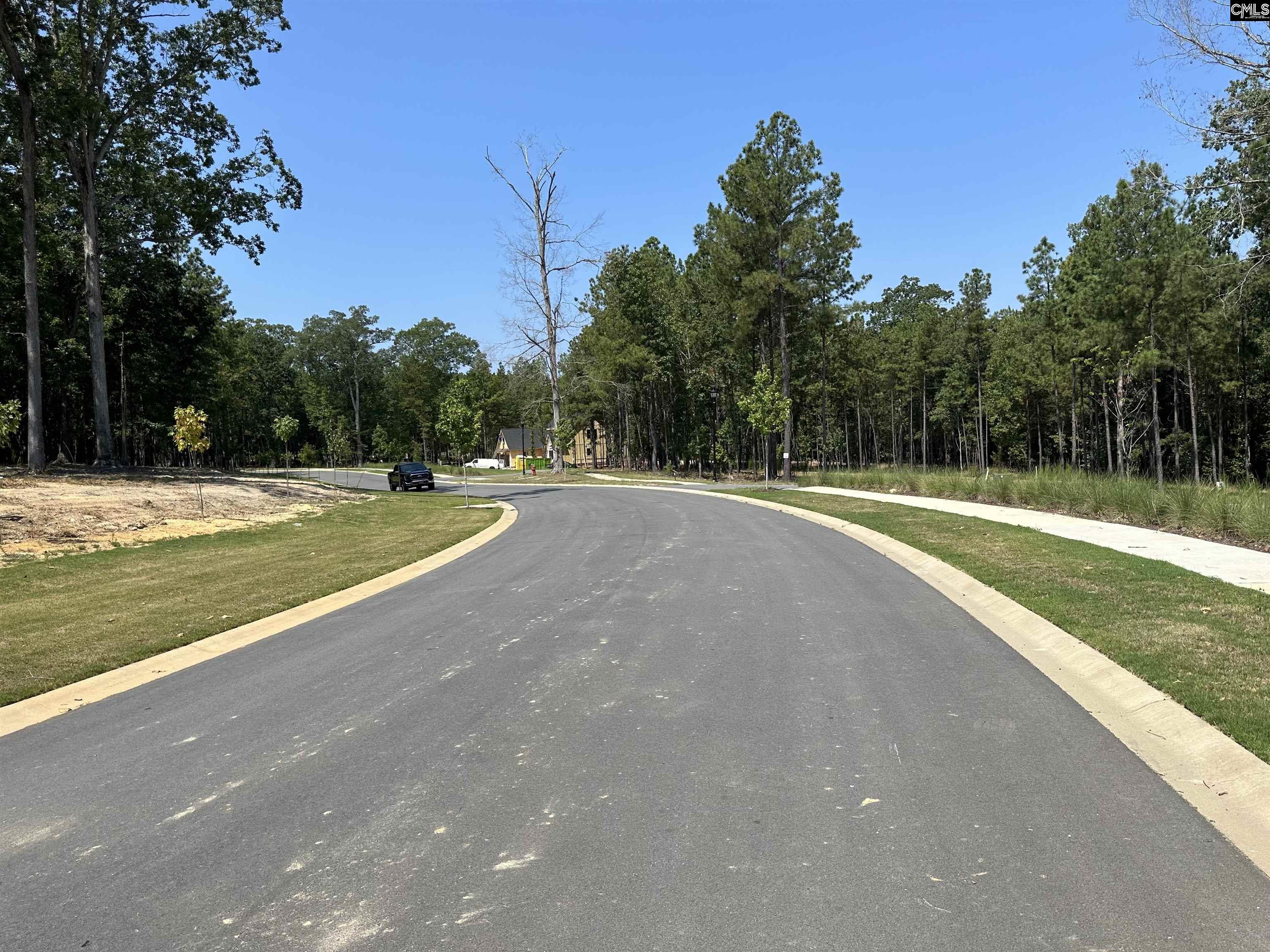 Lot 35 Shoreview Drive, Prosperity, South Carolina image 9