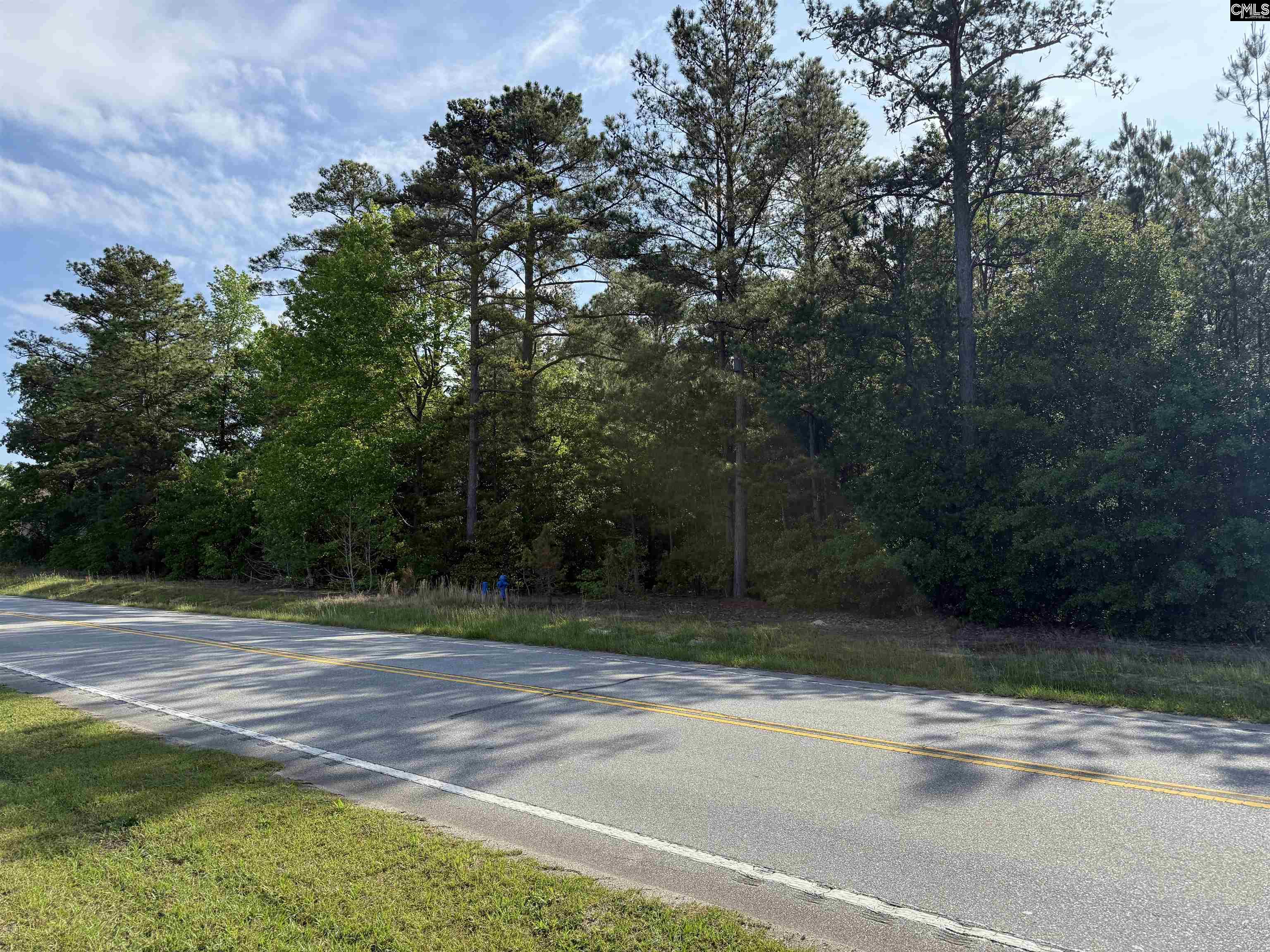TBD Calks Ferry Road Lexington, SC 29072